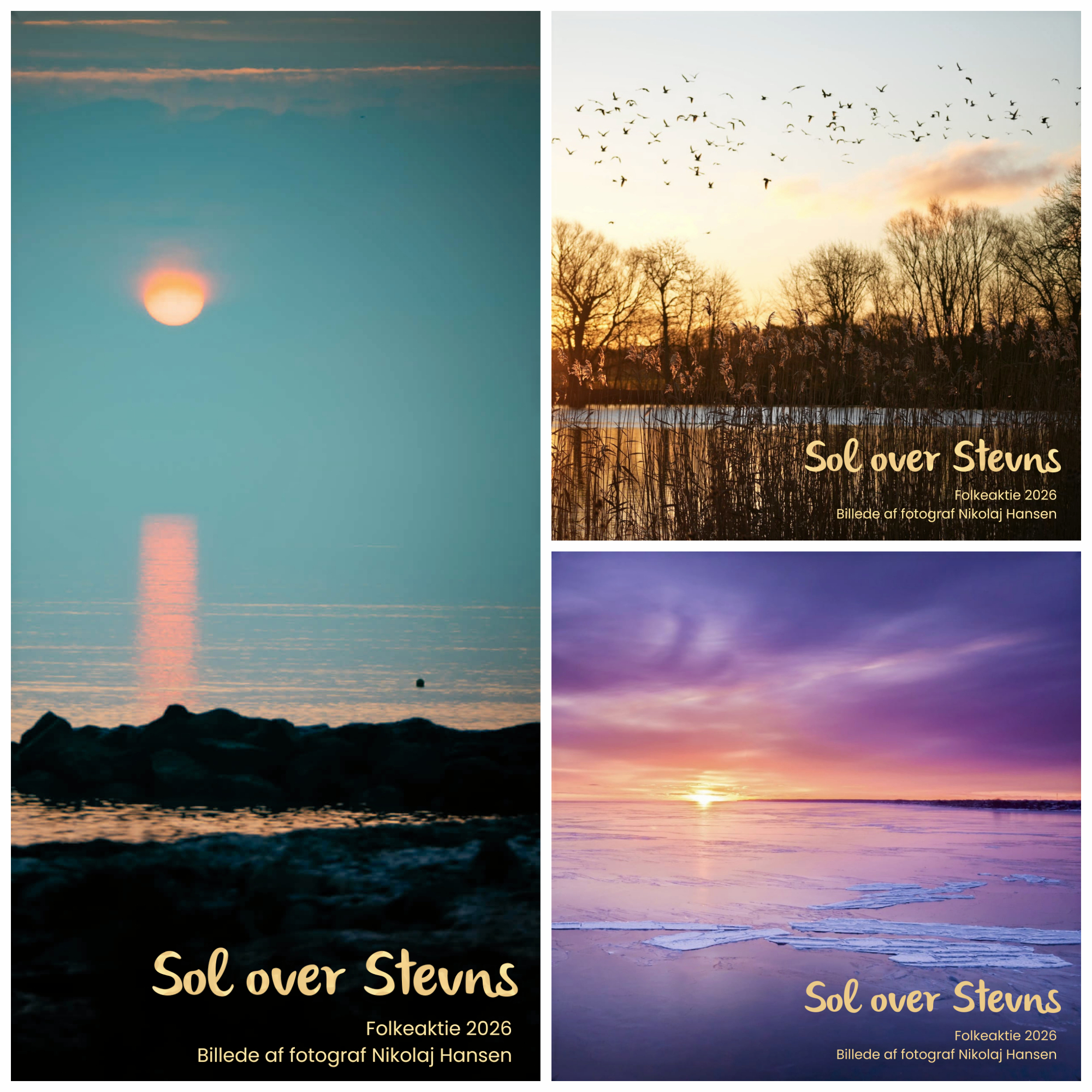 Sol over Stevns er en dag fuld af aktiviteter for børn og voksne - med musik, foreninger, virksomheder, kræmmermarked, sommerbar og meget andet. Der er gratis entré og gratis parkering. Det foregår den 13. juni på banerne ved Strøby Idrætscenter.