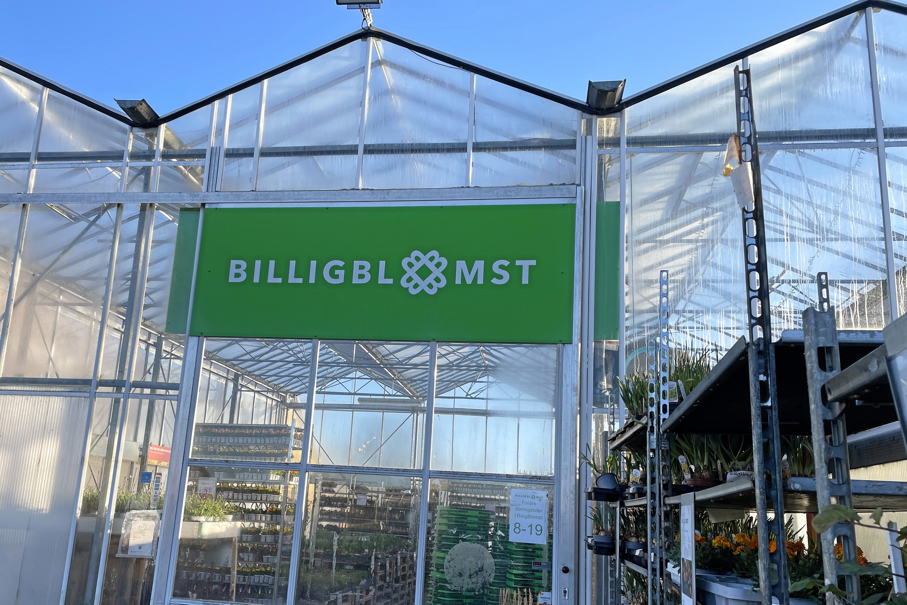 Billigblomst i Holbæk står foran en større renovering, der skal skabe mere plads og et mere moderne plantecenter.