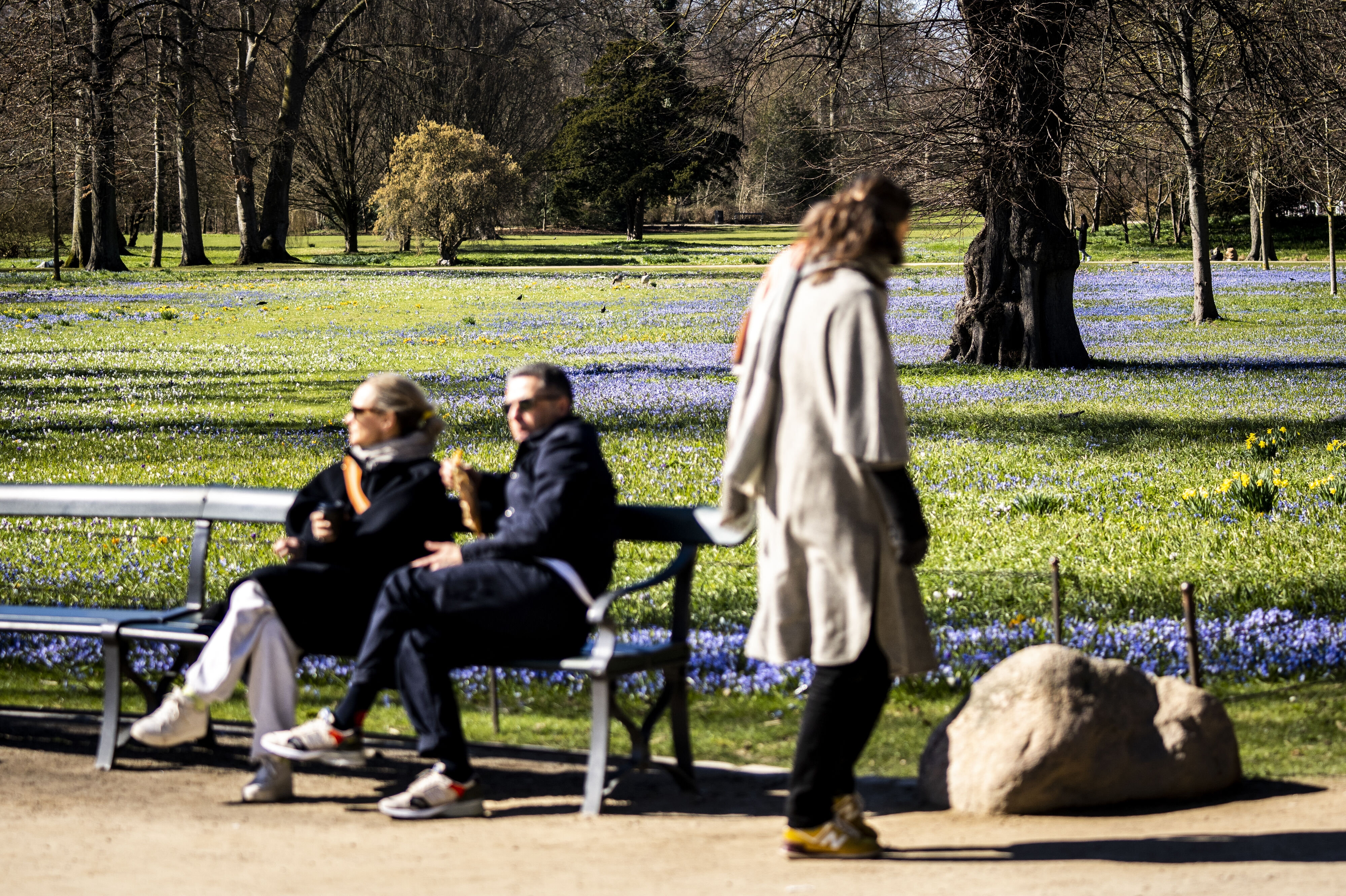 - Man kan være heldig at finde et sted med læ og få noget sol, siger meteorolog om lørdag, hvor det ser ud til at blive skyfrit vejr. (Arkivfoto).