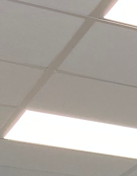 Medindehaver Frederik Bjørling (tv.) med tre af sine Holte-kolleger: mægler Martin Gregers, finansøkonompraktikant Olivia Nyholm Müller og salgskoordinator Nicoline Aunegaard Skjærbæk. Medindehaver Frederik Bjørling (tv.) med tre af sine Holte-kolleger: mægler Martin Gregers, finansøkonompraktikant Olivia Nyholm Müller og salgskoordinator Nicoline Aunegaard Skjærbæk.