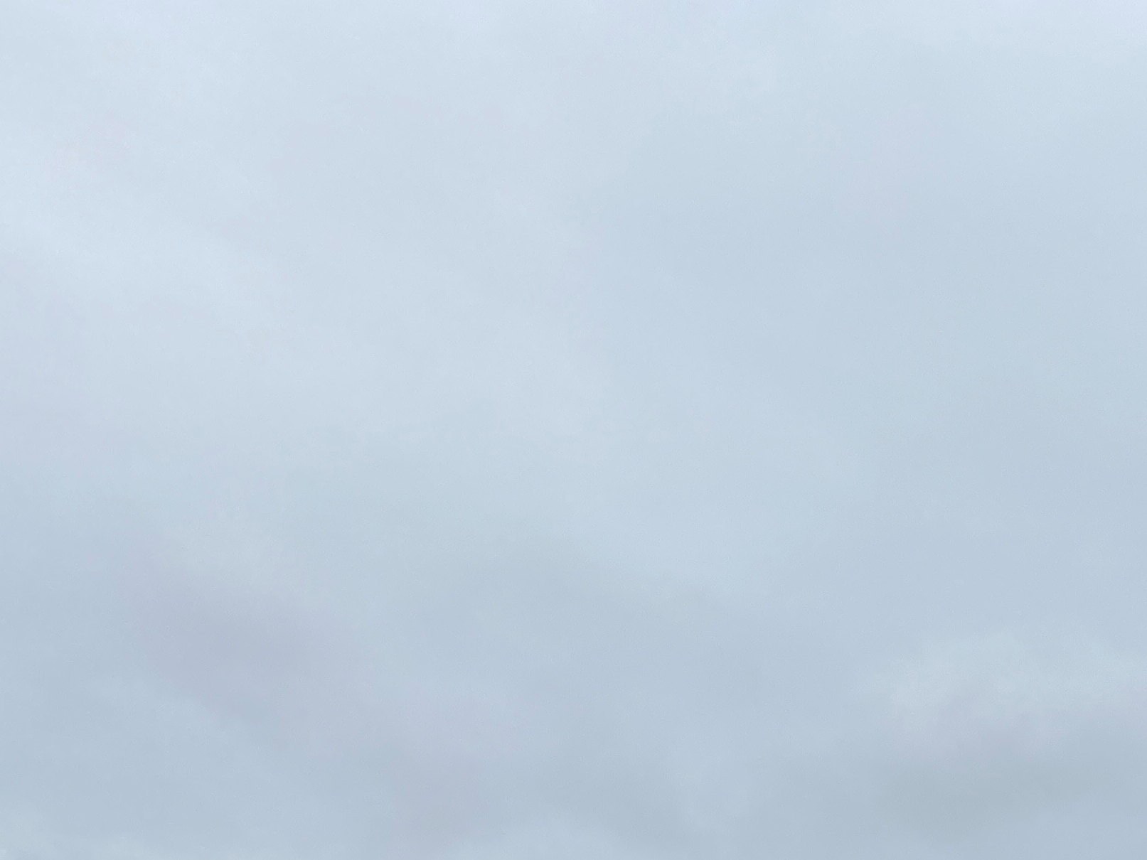 På denne mark kan der i fremtiden potentielt blive afholdt koncerter i stor skala under åben himmel. - Lisbeth Jansen På denne mark kan der i fremtiden potentielt blive afholdt koncerter i stor skala under åben himmel.