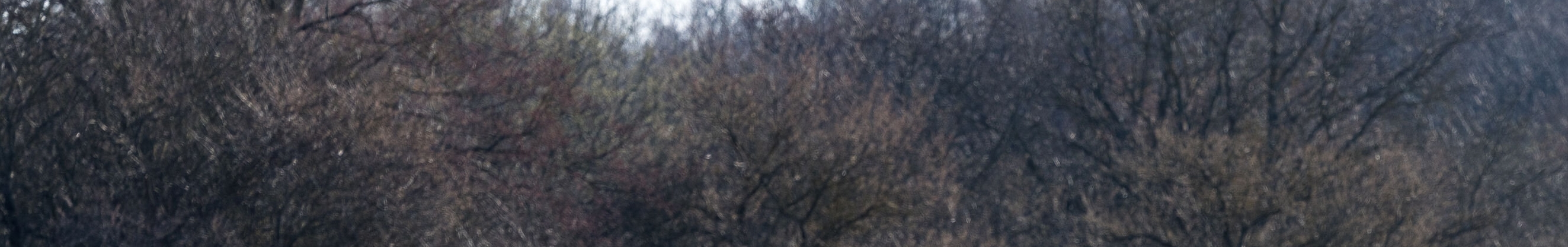 En motorvej ved Albertslund nær København var lørdag aften spærret på grund af en færdselsulykke. - Steven Knap/Ritzau Scanpix En motorvej ved Albertslund nær København var lørdag aften spærret på grund af en færdselsulykke.