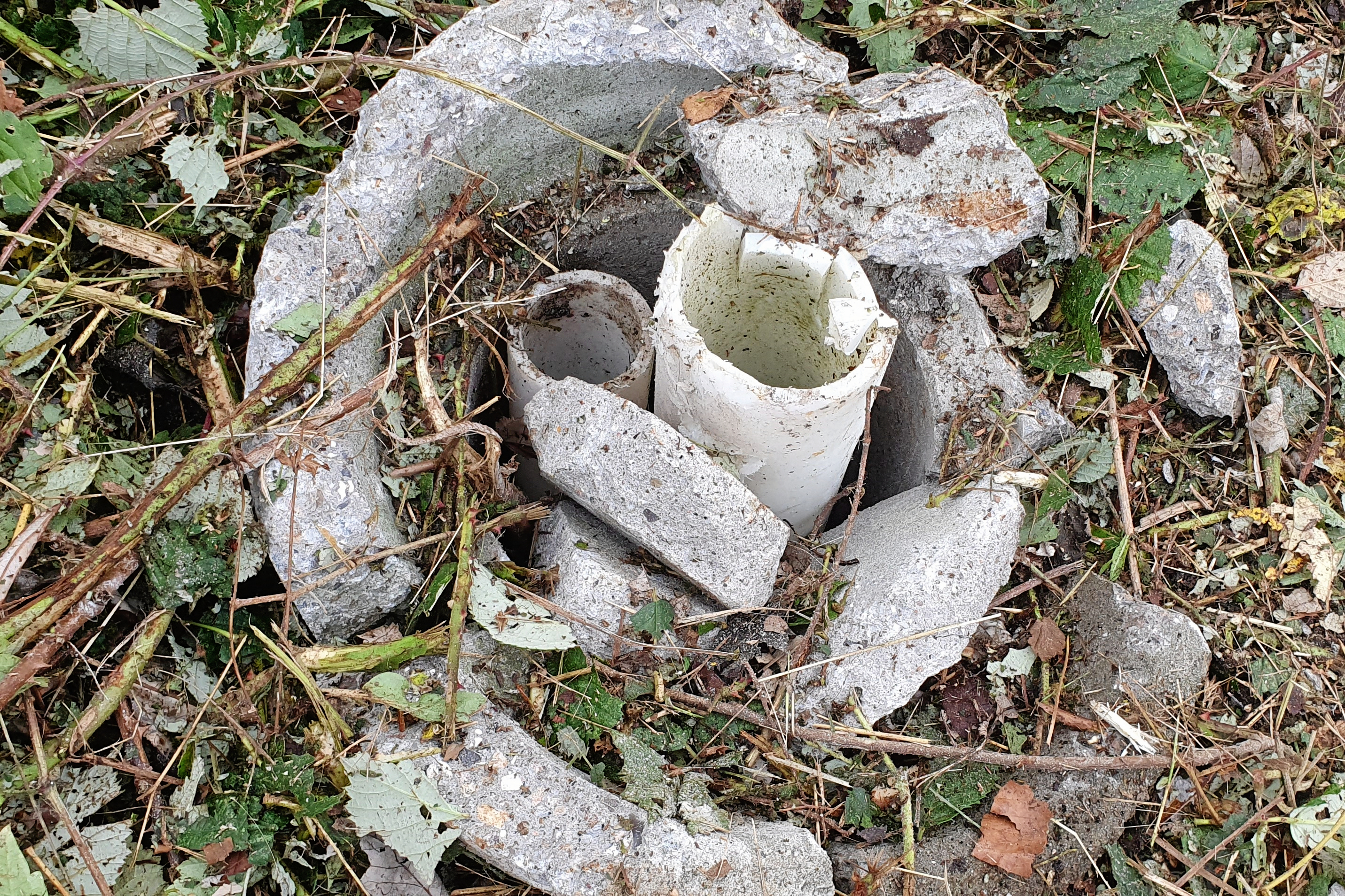 Allerede 12. november 2024 gør Leif Gertsen første gang opmærksom på, at den er gal på den gamle gasværksgrund. Billedet er ifølge Leif Gertsen fra netop 12. november 2024.