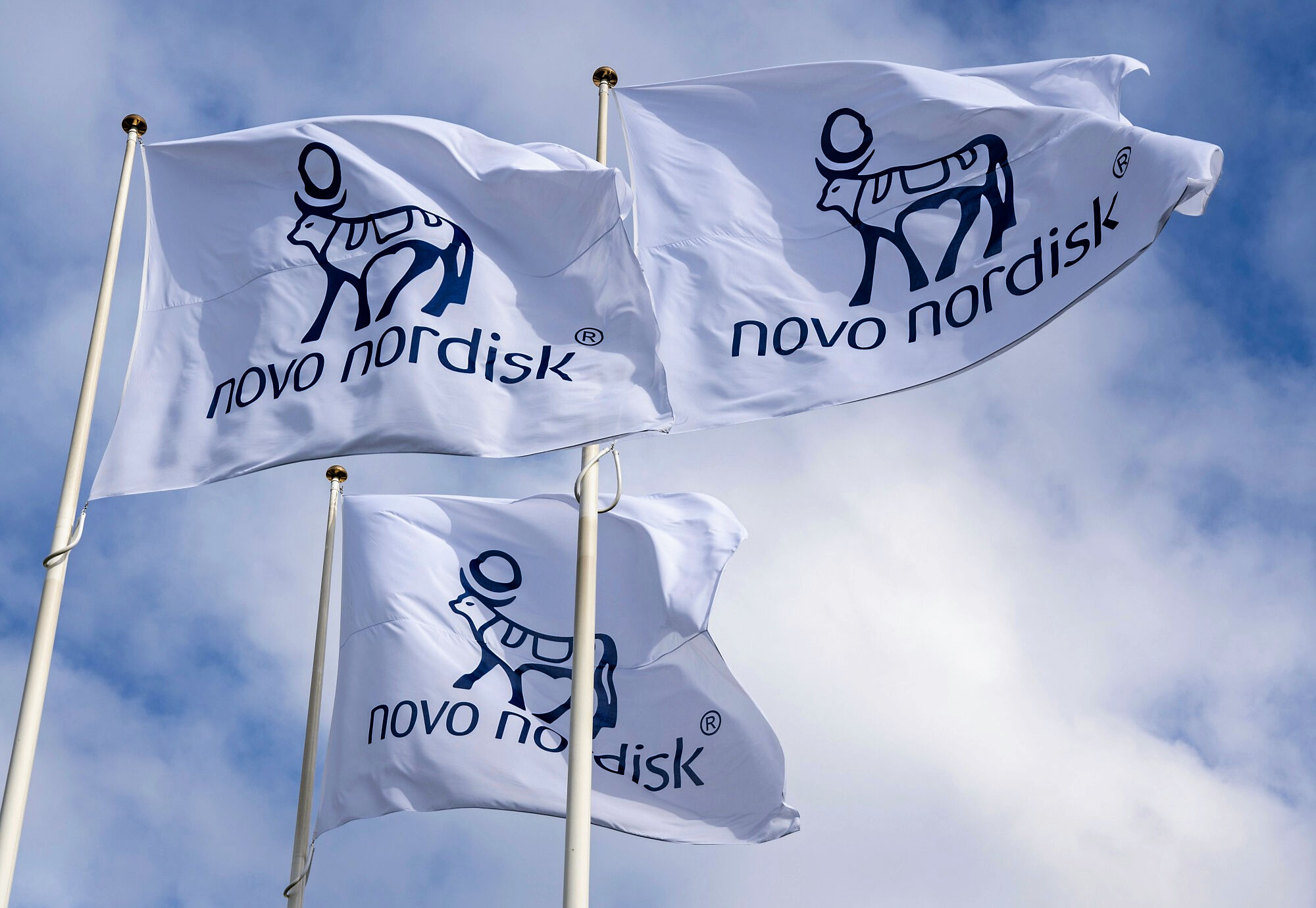 Samarbejdet med OpenAI er et led i Novo Nordisks ambition om at optimere hele udviklingsprocessen.