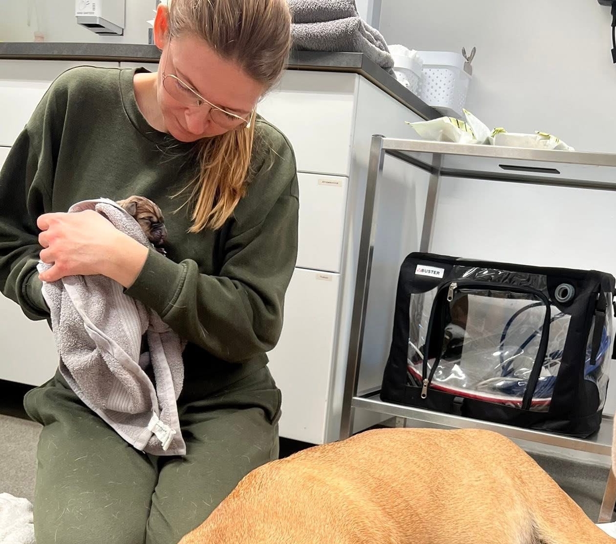 Helle Bjerregaard hos dyrlægen, hvor Freydis fik lidt vestimulerende for at hjælpe hende med at føde de mange store hvalpe. - Privatfoto Helle Bjerregaard hos dyrlægen, hvor Freydis fik lidt vestimulerende for at hjælpe hende med at føde de mange store hvalpe.