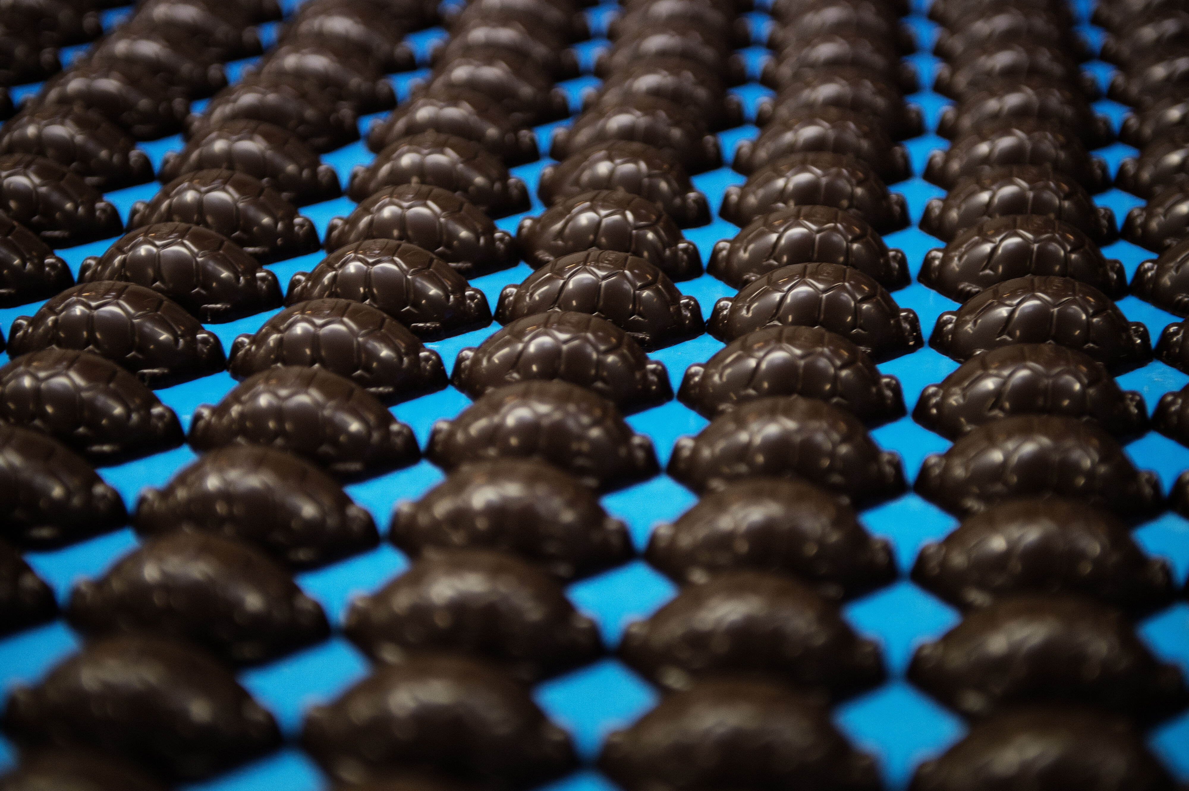 Toms Gruppen står blandt andet bag den klassiske chokoladeskildpadde.