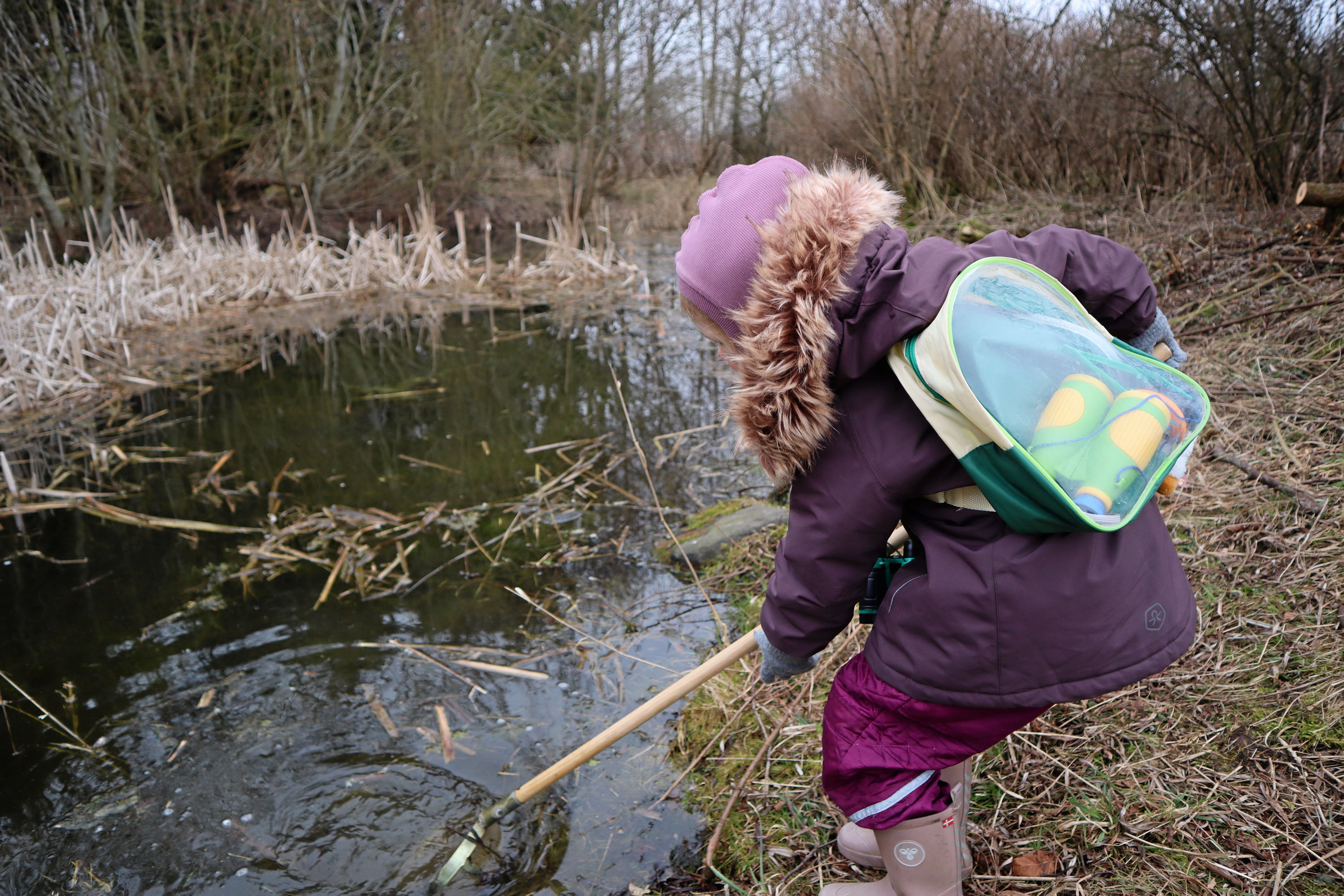 Alle elever i Greve Kommune deltager i klimahandlingsdagen torsdag den 23. april.