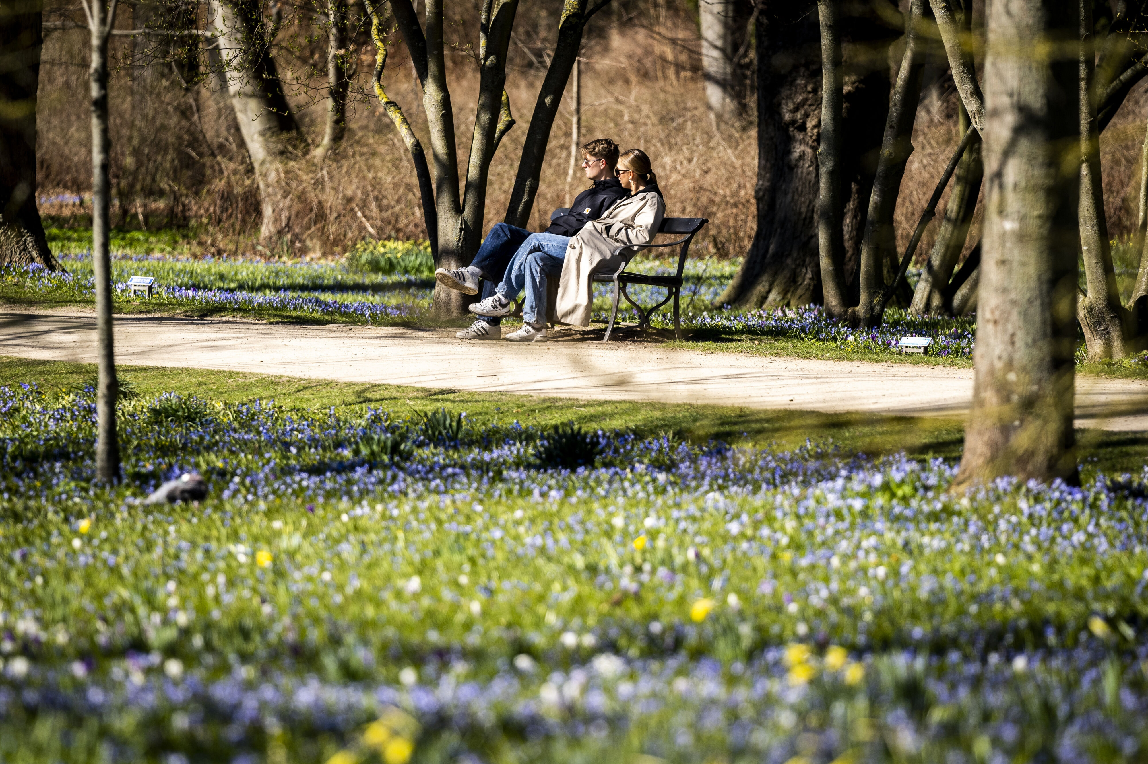 Weekenden byder på lidt af det hele. Der er fine chancer for at blive ramt af en solchance især fredag. Lørdag skal regn passere landet, og det kan blive op til 17 grader i Sønderjylland. Søndag falder temperaturen igen. (Arkivfoto).