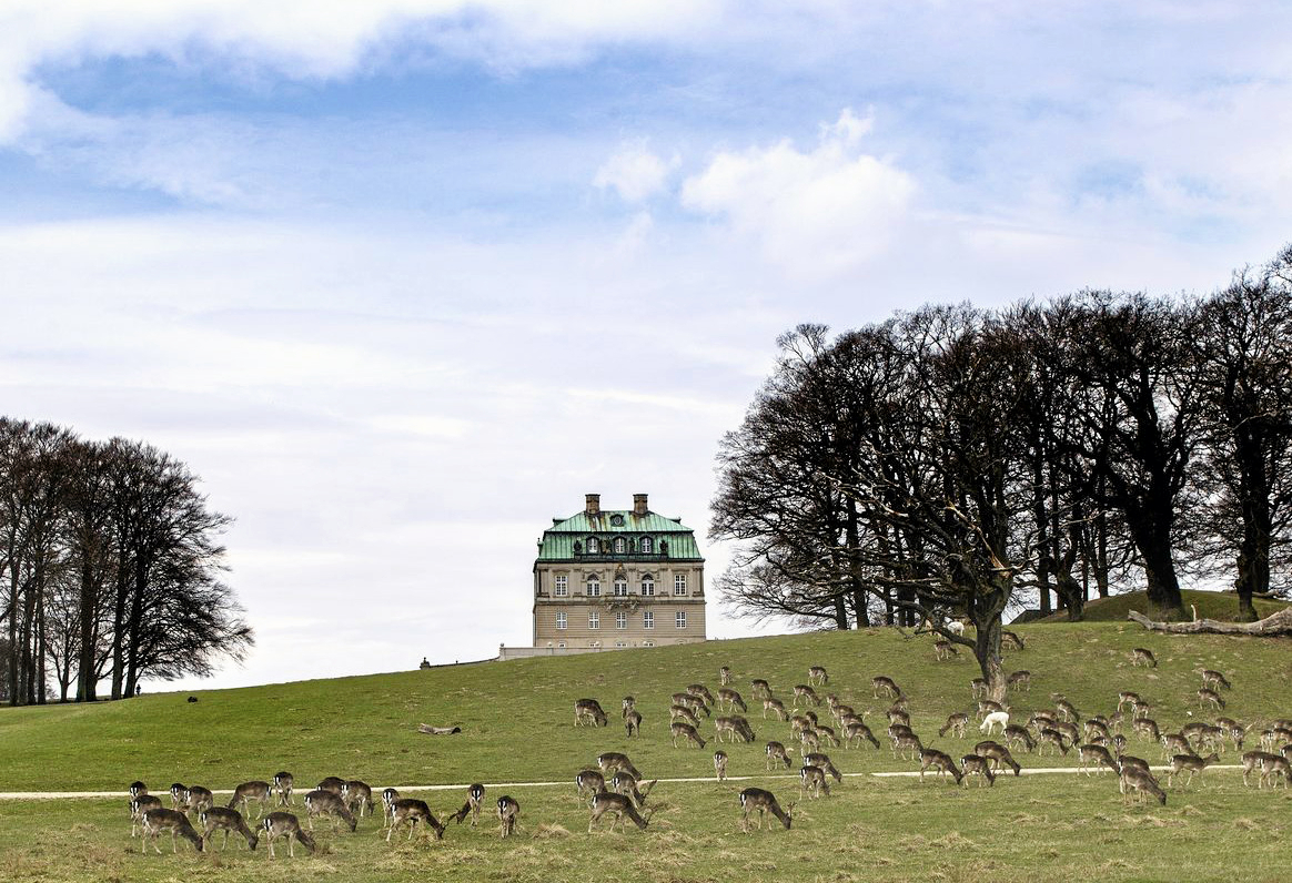 Den Kongelige Samling åbner sæsonen på Eremitageslottet med to arrangementer, der sætter fokus på den kongelige jagt som historisk, politisk og kulturelt fænomen.