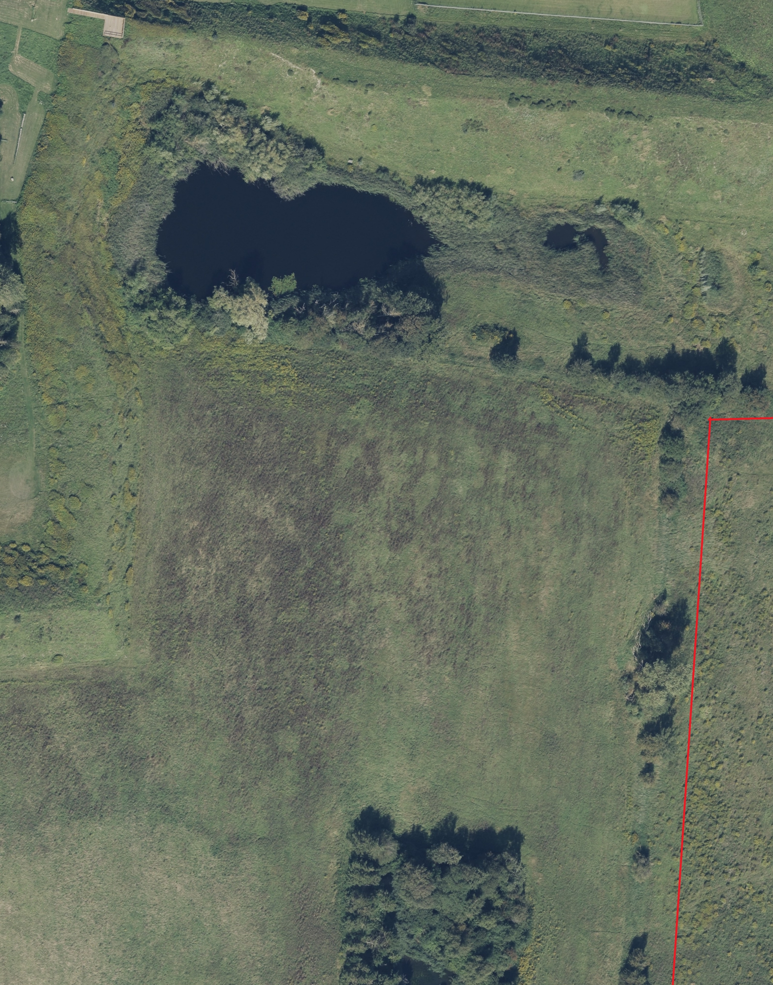 I det markerede område på Bondehøjvej, lige nord for racehall og padelcentret, er der forslag om at danne et udendørs koncertsted i sommerhalvåret fra 2028. - Skråfoto I det markerede område på Bondehøjvej, lige nord for racehall og padelcentret, er der forslag om at danne et udendørs koncertsted i sommerhalvåret fra 2028.