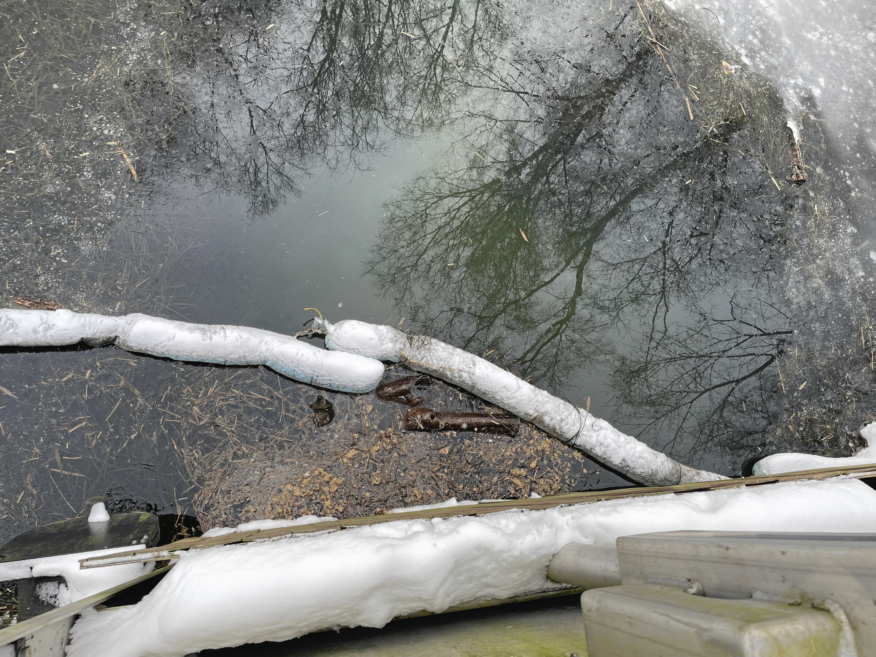 En af naboerne til bækken, Hanne Sjøtlov, så også afføringen i midten af februar og tog billedet.