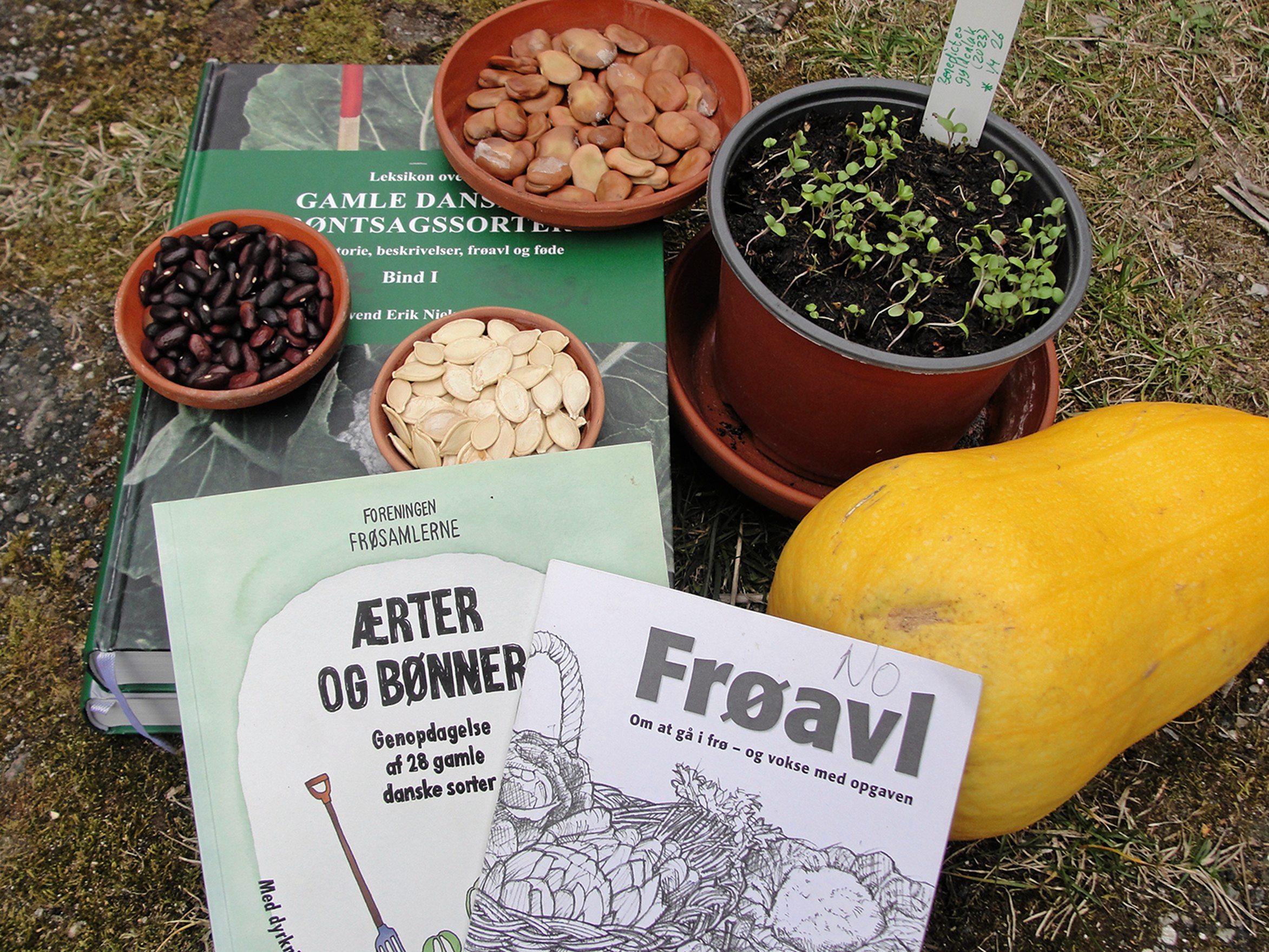 Frøsamlerne, en frivillig forening dedikeret til bevarelse af plantearv, vil til stede ved Svanholms Café og ny naturlegeplads.