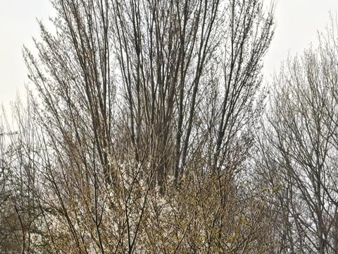 Togulykke i Hillerød. - Presse-fotos.dk Togulykke i Hillerød.