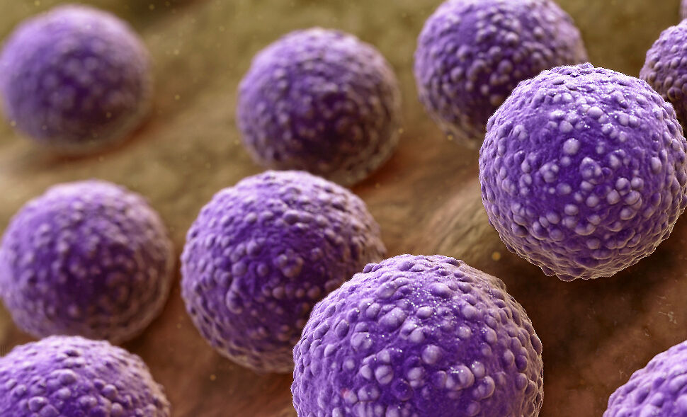 Livet i mikroskopisk skala er langt mere komplekst, end vi ofte forestiller os.