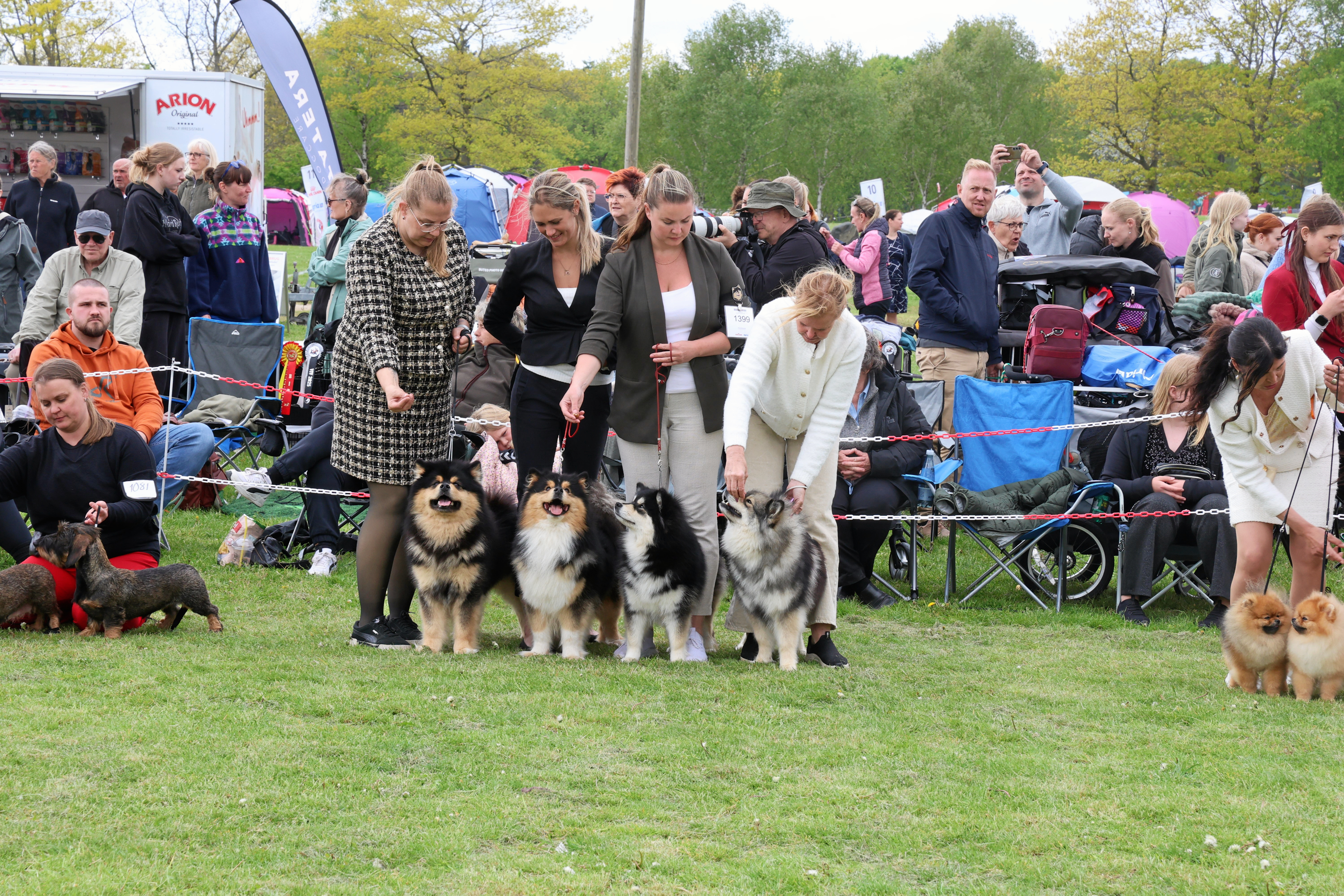 Dansk Kennel Klub inviterer hundeentusiaster fra hele landet til årets første store udendørs udstilling.