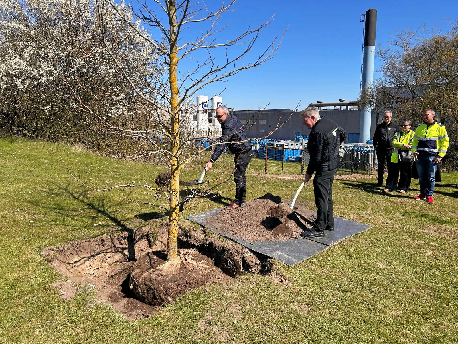 Borgmester Michael Ziegler og direktør Anders Andersen skovlede jord på de nyplantede træer.