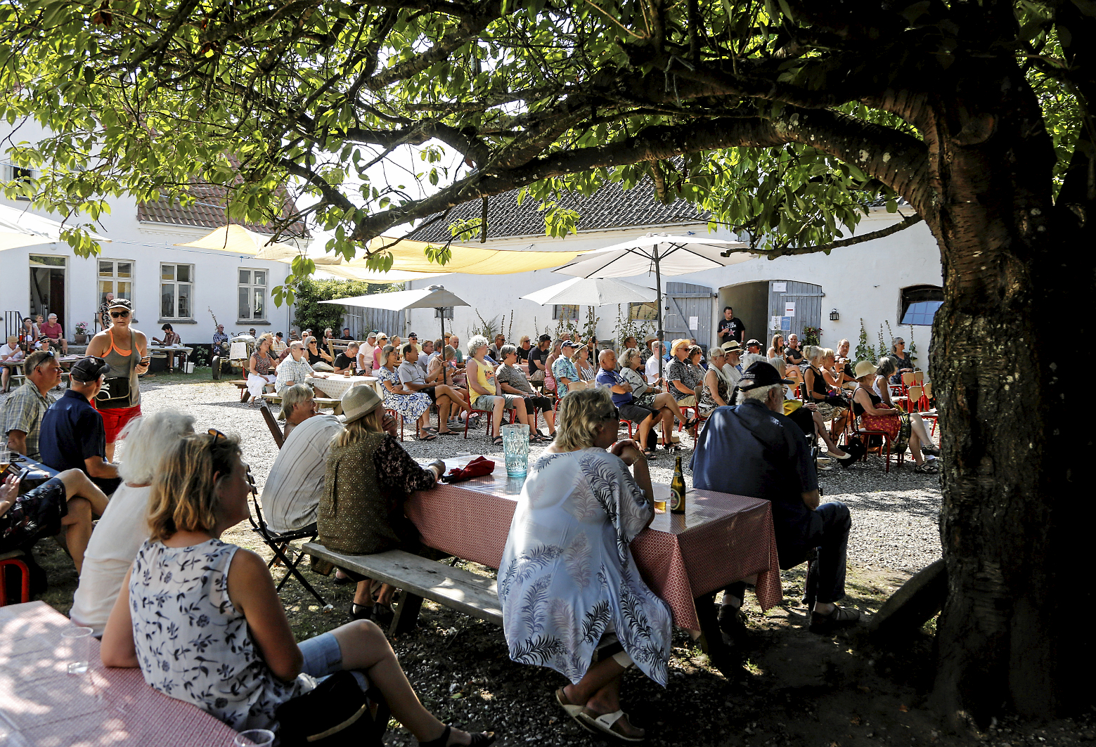 Barresøgaard er Grundlovsdag igen ramme om en koncert.