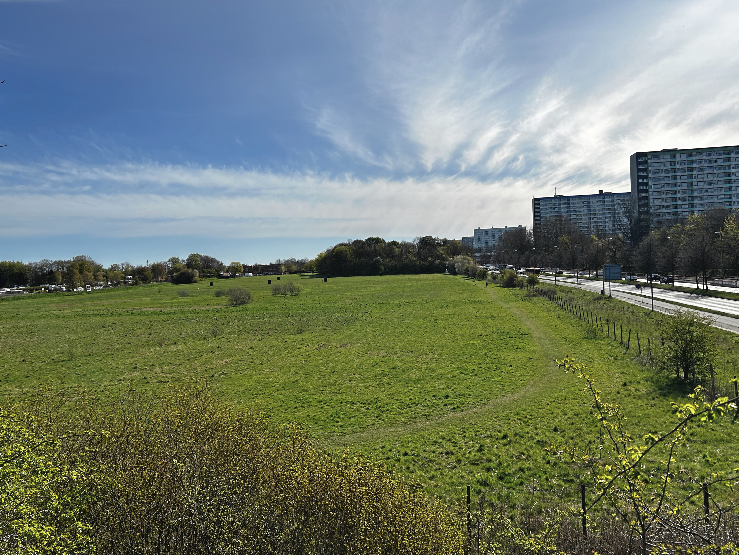 Området ved Roskildevej, hvor Rødovre Kommune fortsat ønsker at etablere ny skov.