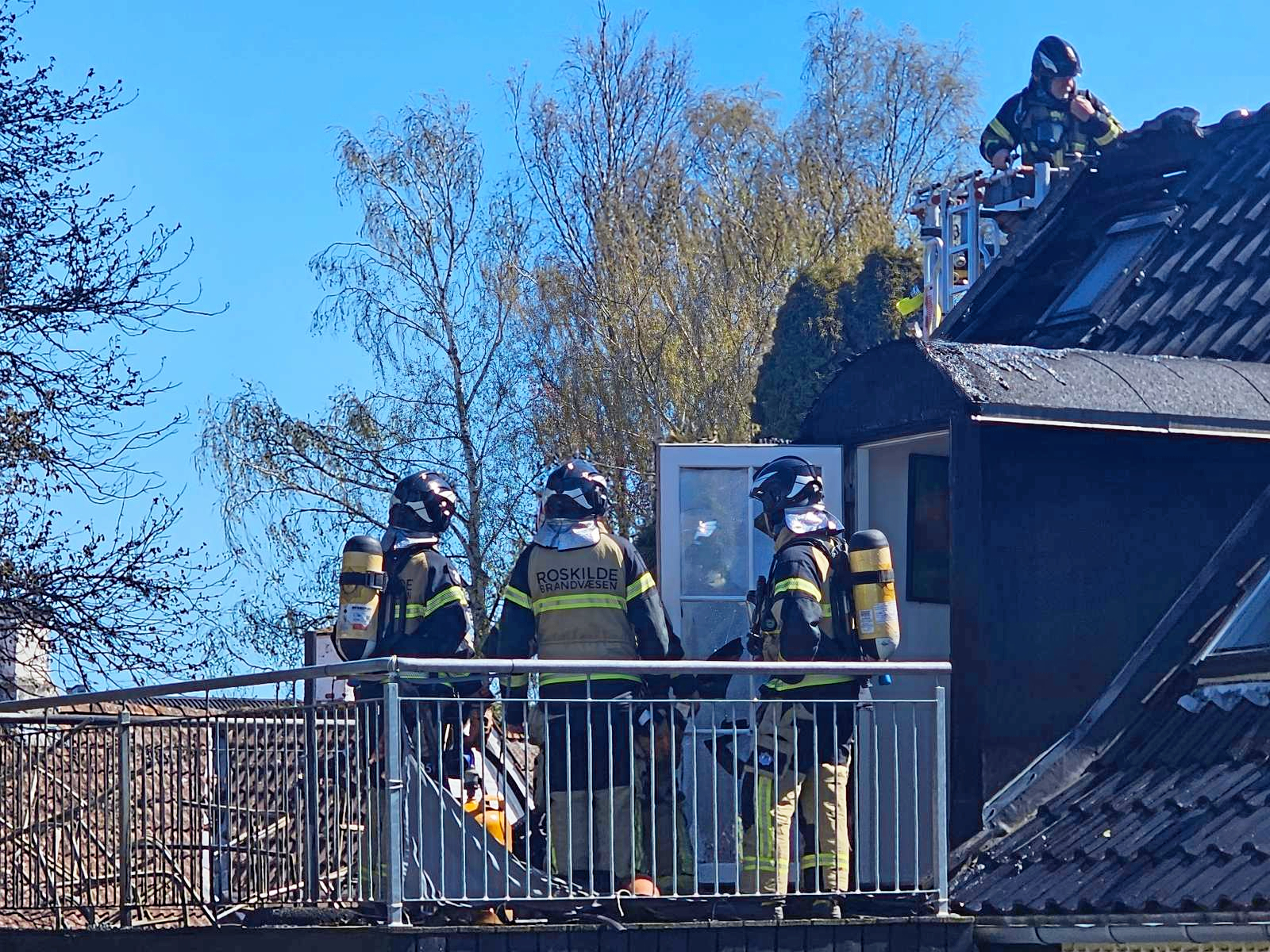 Både beboere og dyr slap uskadt fra branden.