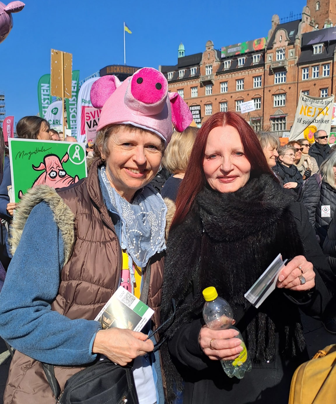Fælles for dem er ønsket om, at politikerne gør op med det, de kalder svigt af grisene samt forurening af drikkevandet.