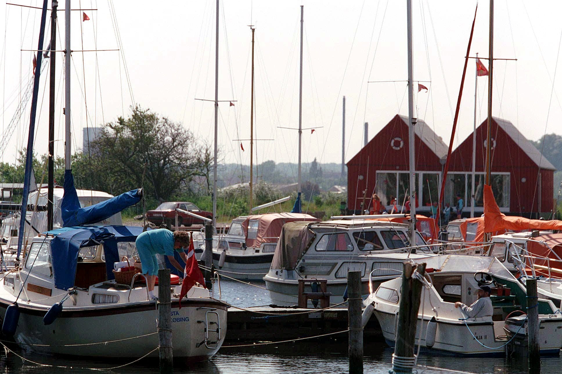 Det koster Vejle Kommune millioner at råde bod på pæleormens spiseri. På billedet ses lystbådehavnen ved Maltrup Vænge i Sakskøbing. (Arkivfoto).
