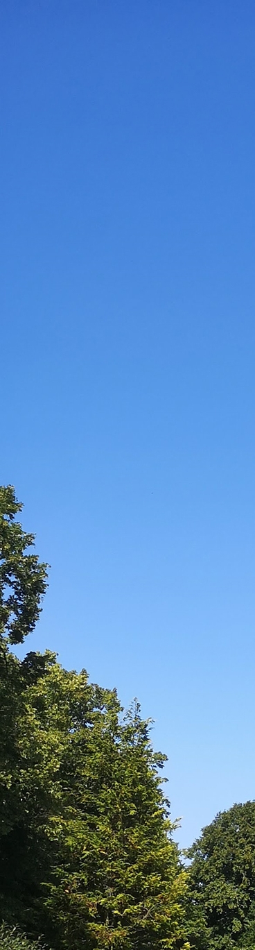 Stilladsarbejde er langt mere komplekst, end mange forestiller sig, og moderne stilladsløsninger omfattende teknisk viden, planlægning og forståelse for både sikkerhed og logistik. Stilladsarbejde er langt mere komplekst, end mange forestiller sig, og moderne stilladsløsninger omfattende teknisk viden, planlægning og forståelse for både sikkerhed og logistik.