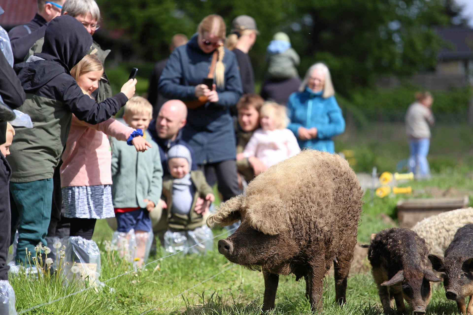 Birthesminde åbner for en dag, hvor familier kan opleve både grise, natur og hverdagen på en økologisk gård. Gårdens ejer, Maria Bojsen, glæder sig til at byde velkommen.