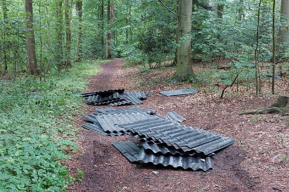 Sådan skal der ikke se ud i Hornbæk Plantage. Det er blevet dyrere at komme af med asbestaffald, og det får nogle til at tørre regningen af på naturen.