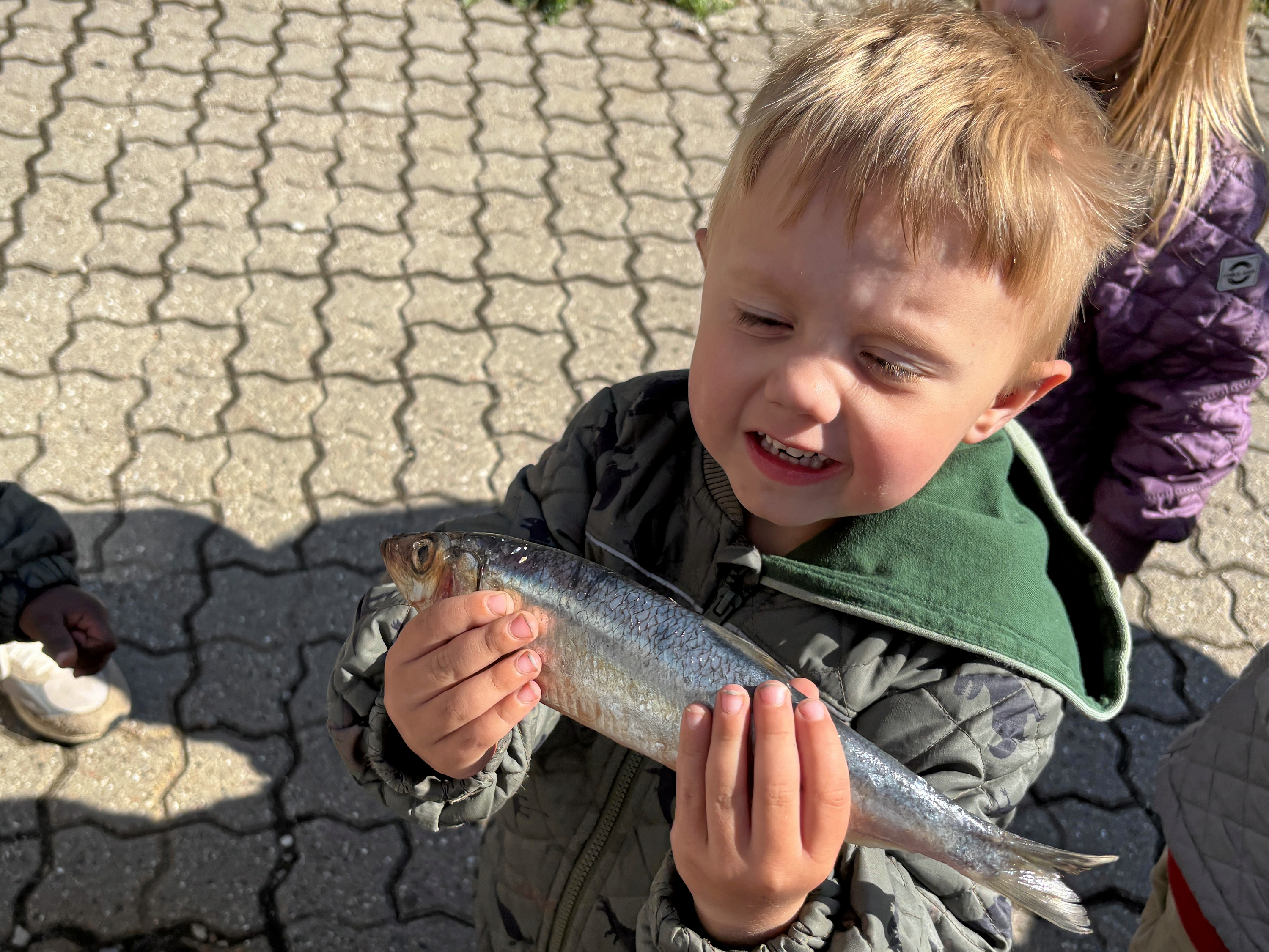 Tirsdag kunne børnene i Eventyrhuset, Toppen og Aktivarius komme helt tæt på fisk og andre dyr fra havet, da børnehaven inviterede til fiskedag.