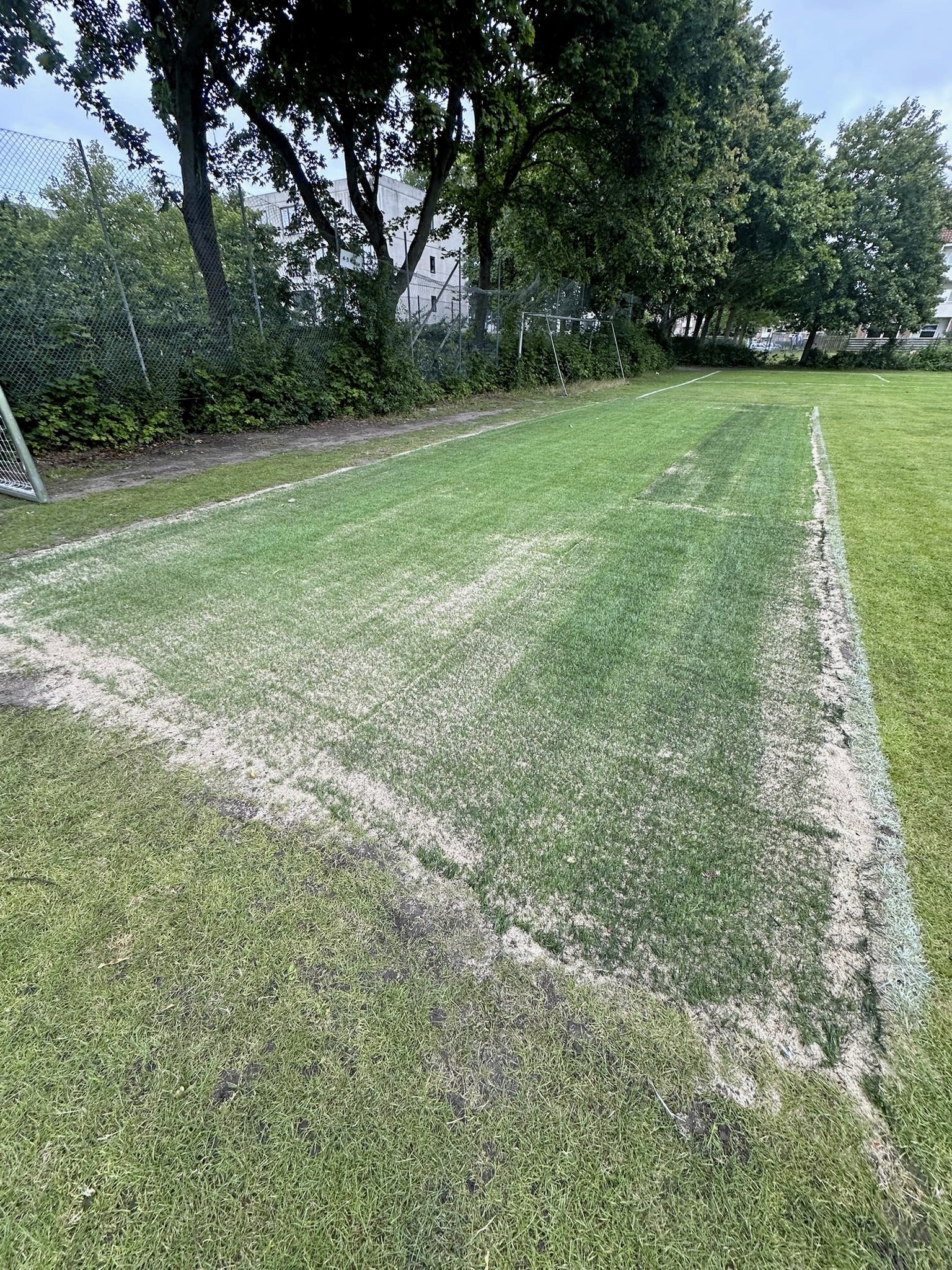 Målfeltet har en højdeforskel på 5-10 centimeter i forhold til resten af banen; en slags Målfeltet har en højdeforskel på 5-10 centimeter i forhold til resten af banen; en slags