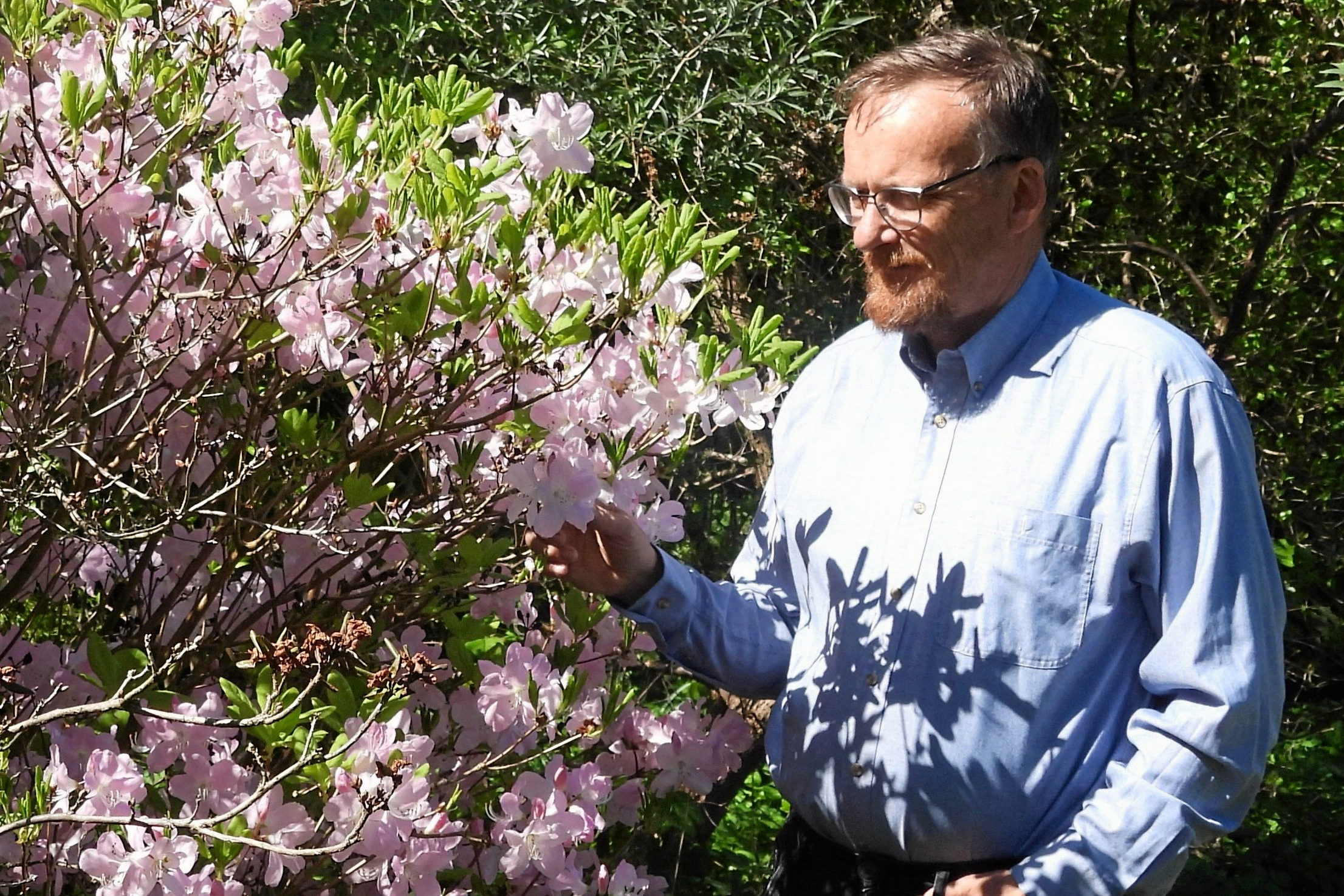 I sin have har han over 100 vilde rododendronarter, hvoraf han har frøformeret en del selv.