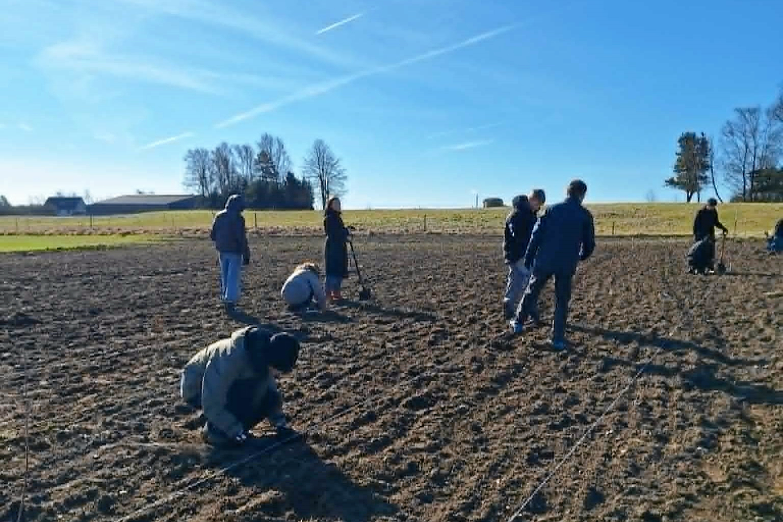 Roskilde Ungdomsskole har sammen med Naturstyrelsen et projekt, hvor udskolingselever er med til at plante træer.