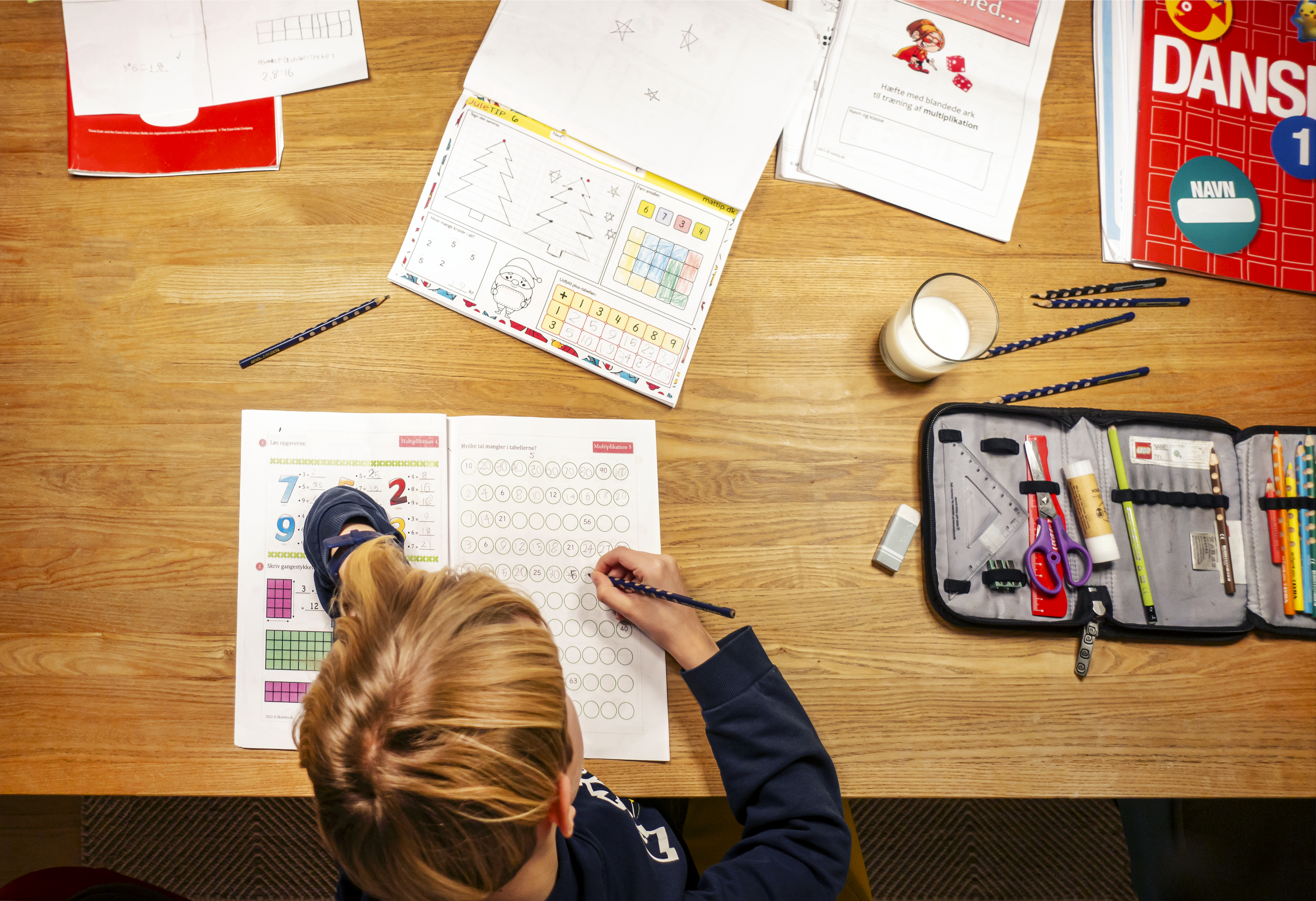 Der skal findes penge til flere gode analoge læremidler, hvis der bliver skruet ned for iPads i skolen.