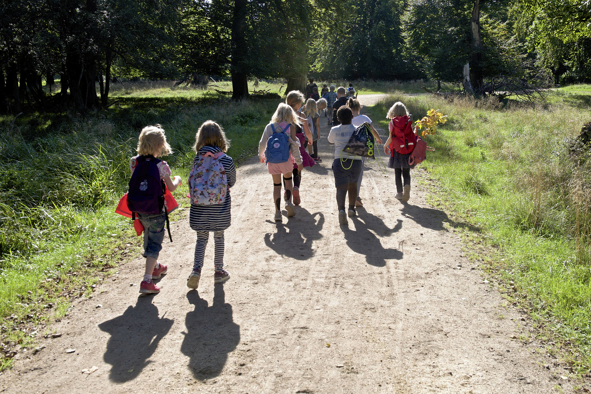 Flere aktiviteter, der skal hjælpe med til at styrke elevers trivsel, sundhed og fællesskab, har fået støtte fra Skolemælkslegatet.