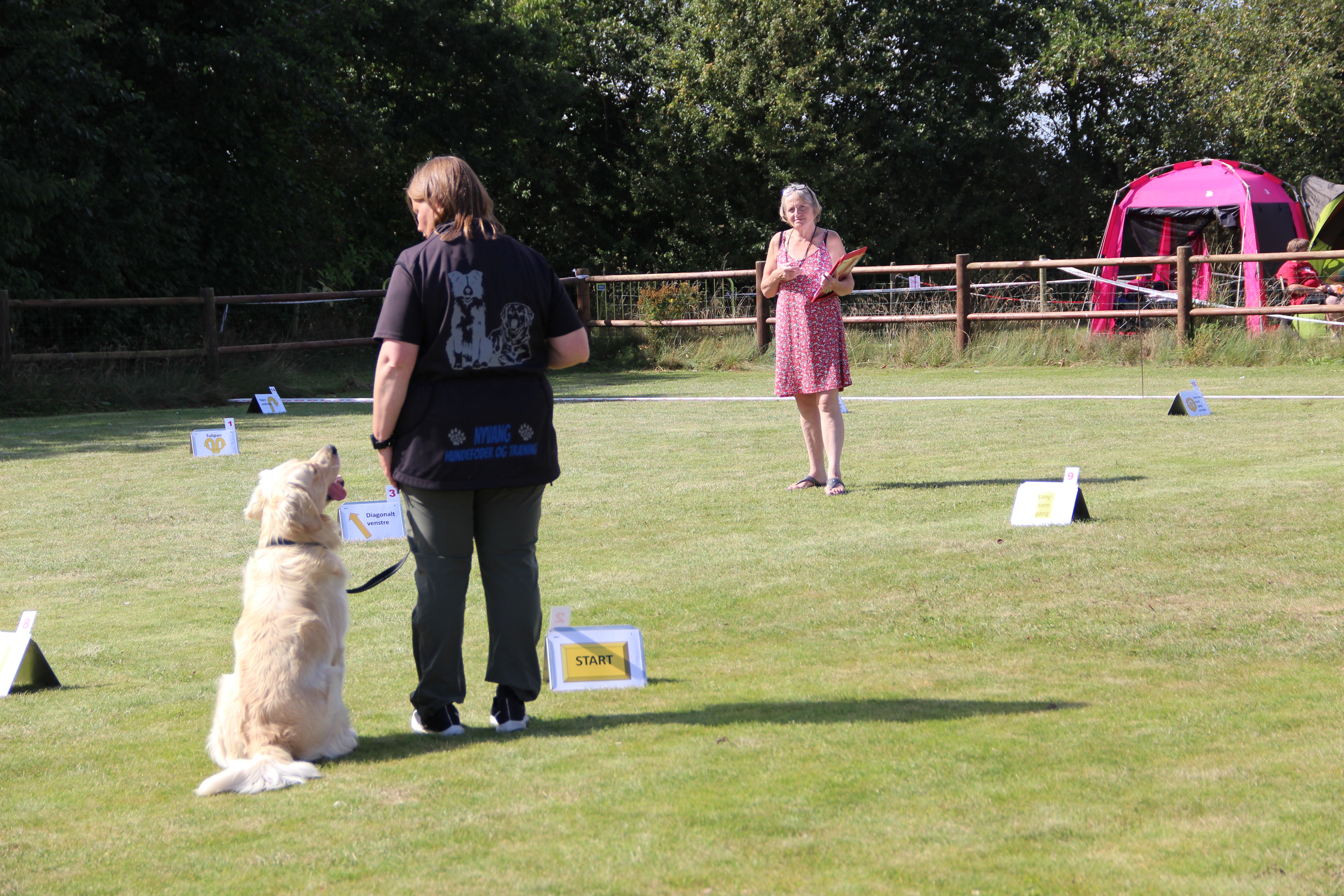Hundeaktivitetscentret er kommet til Ringsted for at blive her i mange år, hvis det står til Dansk Kennel Klub.