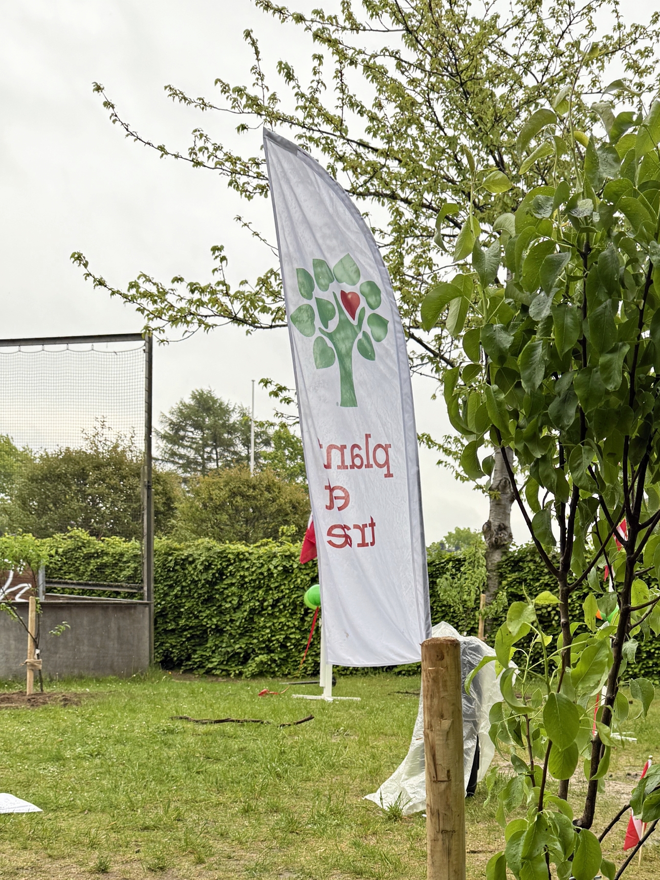 I Klub 107 håber man, at frugttræerne med tiden bliver så store, at de kan bære en hængekøje. - Lomax I Klub 107 håber man, at frugttræerne med tiden bliver så store, at de kan bære en hængekøje.