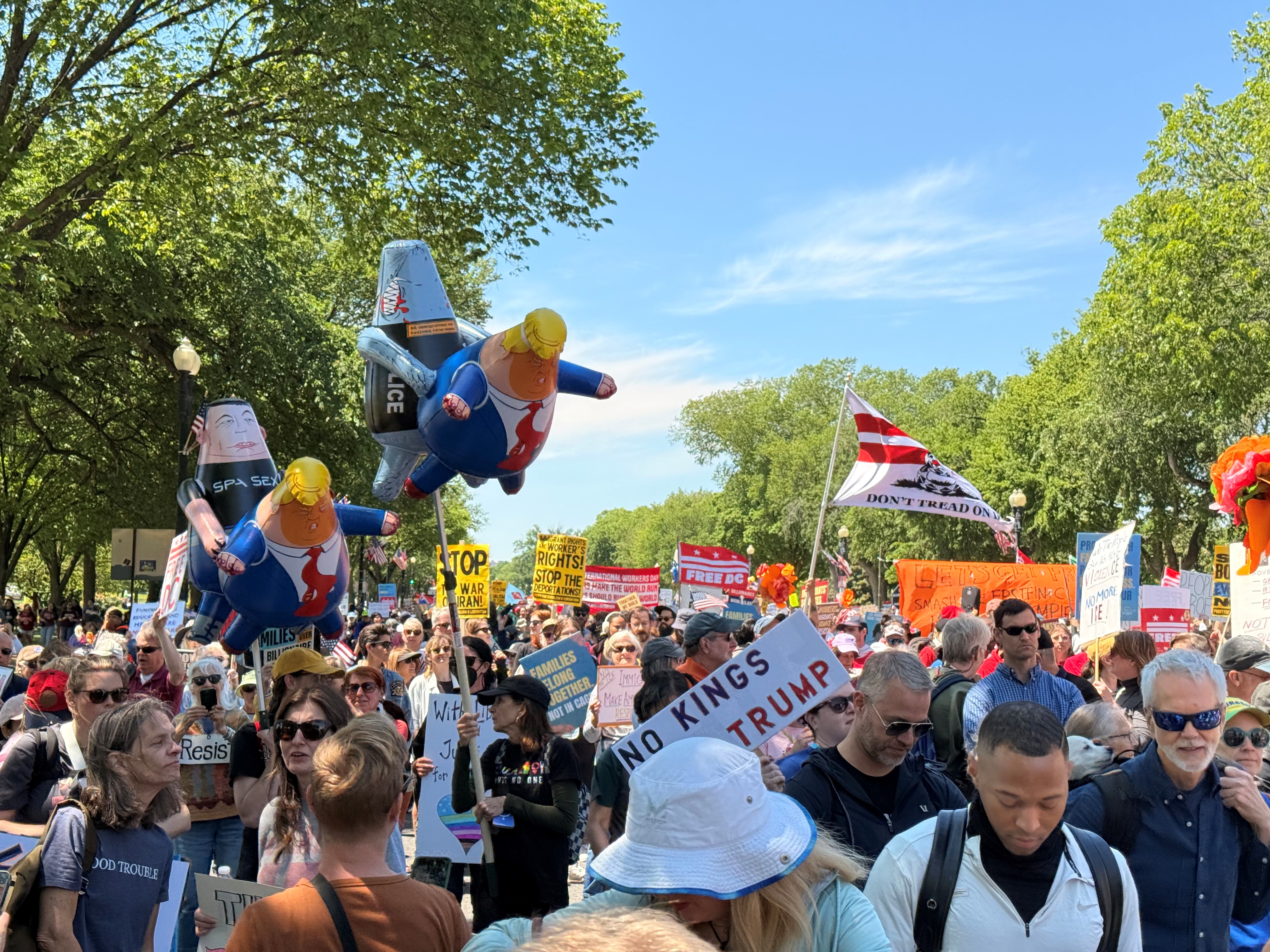 Ballonen fra Nikolas Sebbelov flyver højt under en demonstration i Washington D.C.