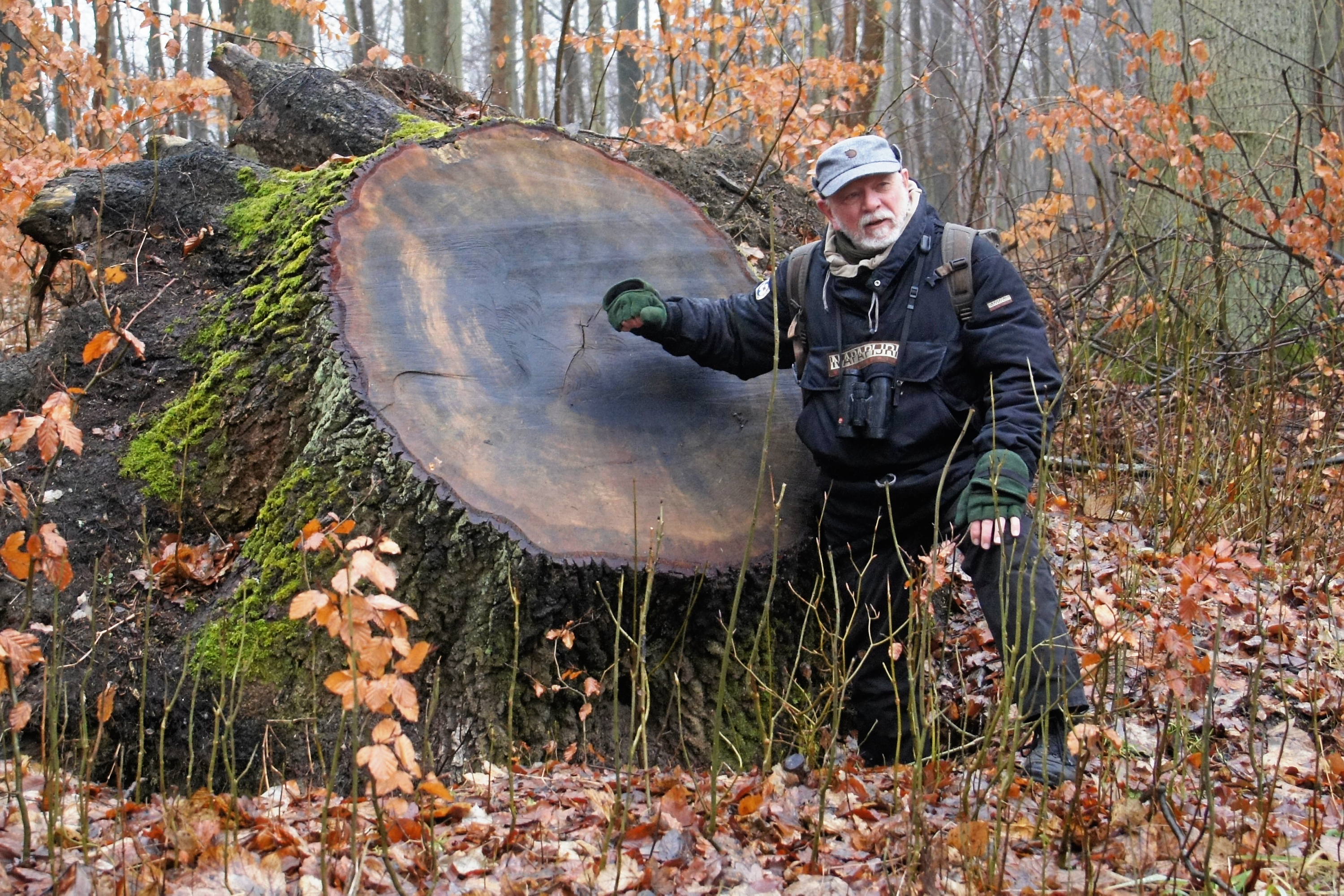 Per Grove Thomsen, medlem af Danmarks Naturfredningsforenings bestyrelse i Hørsholm, glæder sig til søndag morgen, hvor han skal ud at tælle fugle.