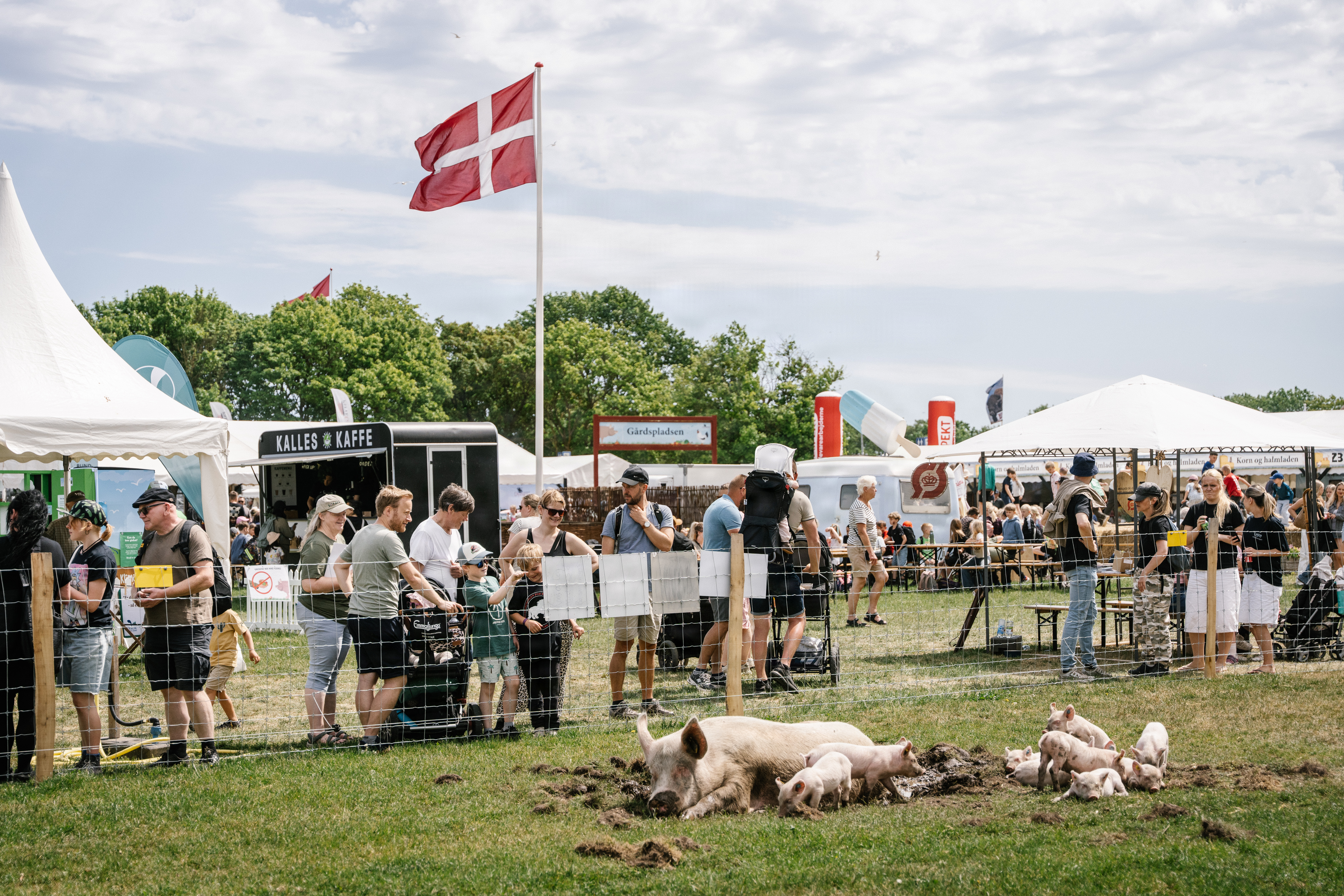 Roskilde Dyrskue 2026