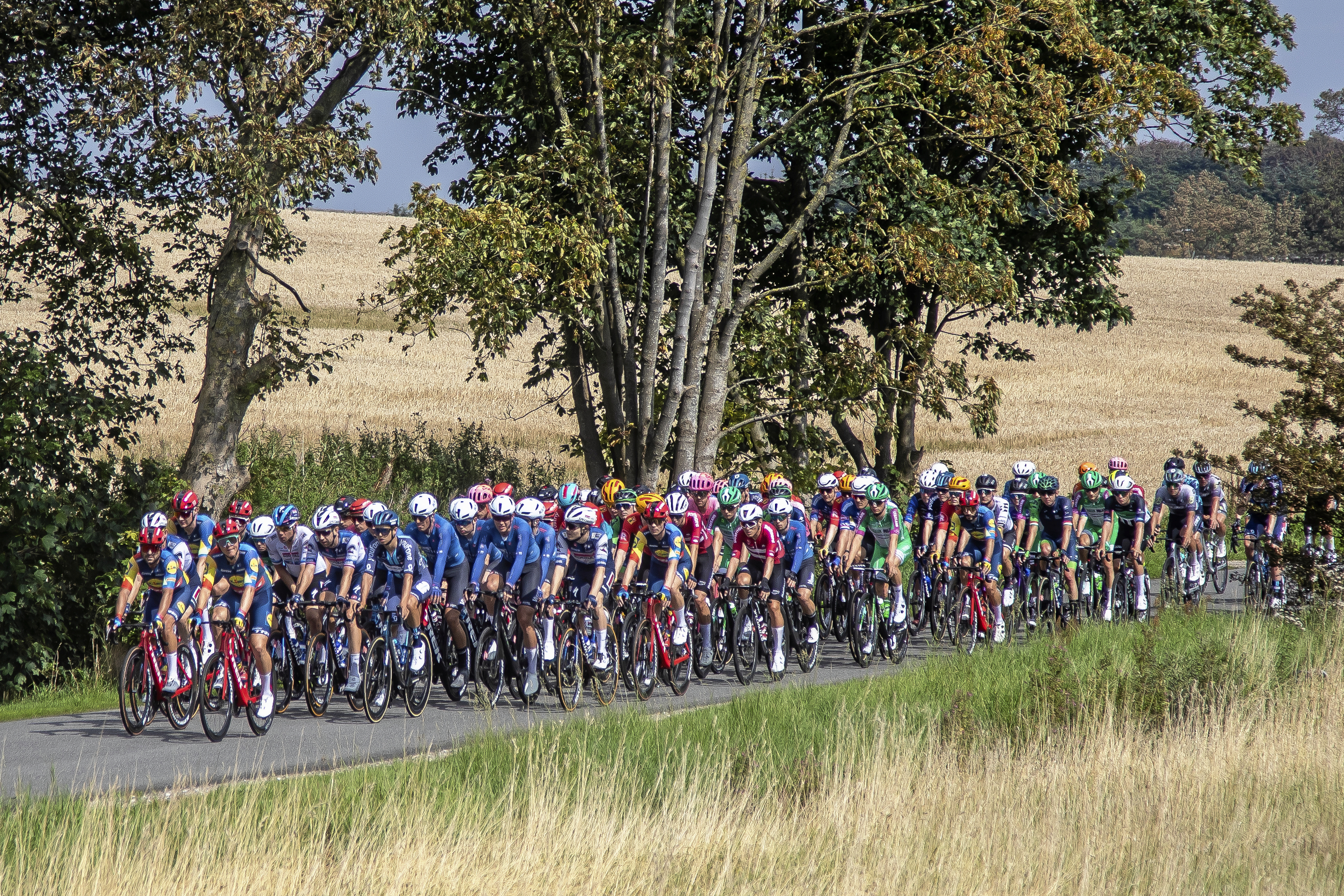 Når Copenhagen Sprint med start i Roskilde ruller ud på vejene 13.-14. juni betyder det også længere transporttid, hvis man planlægger en bustur i området.