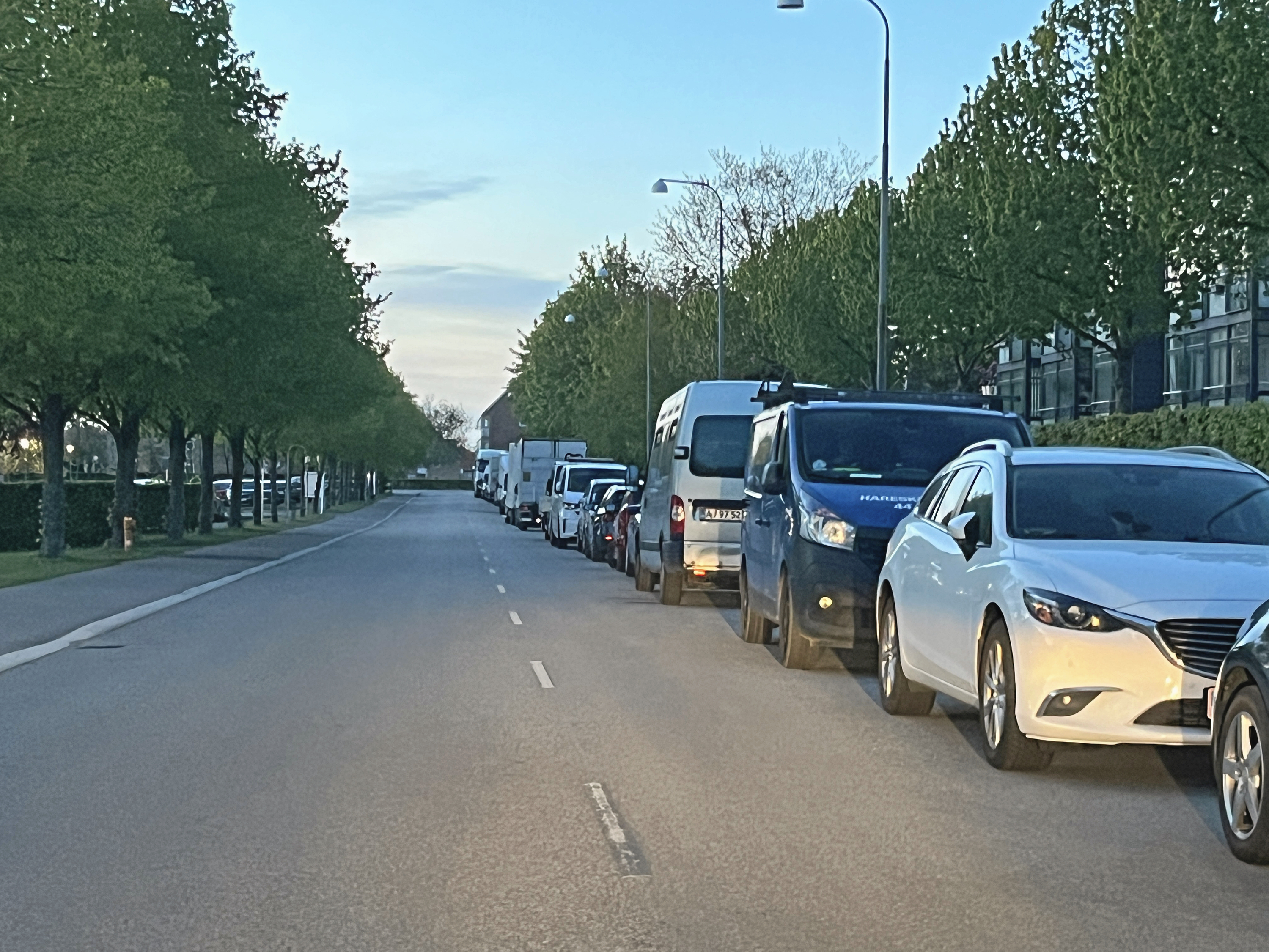 Beboerrådsformanden i Rønnebærparken er godt tilfreds med at beboerdemokratiet virker og nu hvor renoveringen er overstået, så skal den beslutning, som beboerne selv stemte for føres ud i livet.