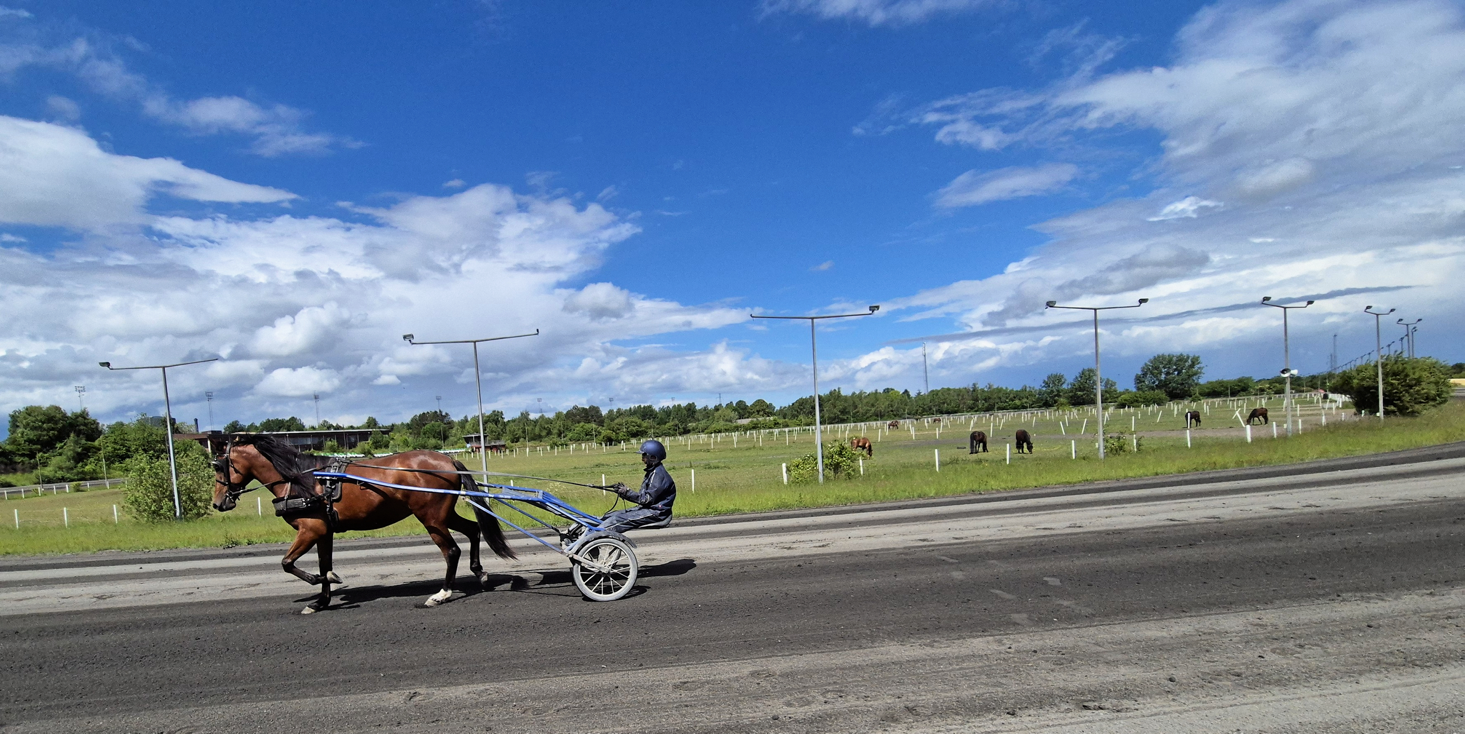 Nu er der udsigt til endnu mere liv på den gamle travbane, der skal moderniseres.