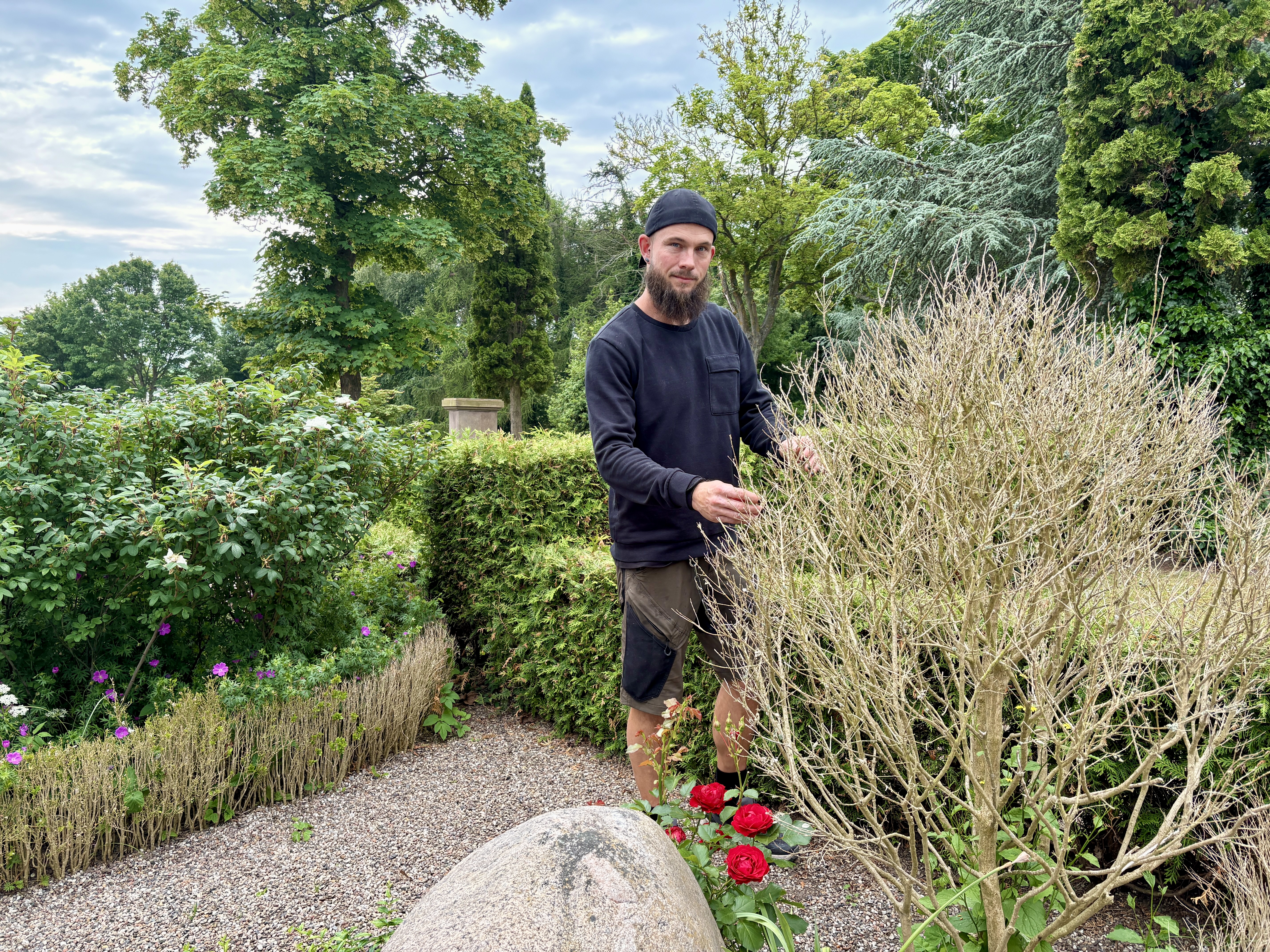 Morten Rune Jacobsen, der er kirkegårdsleder på Skælskør og Eggeslevmagle Kirkegårde, står her ved en udgået og død buksbom. Mere end 100 store og små buske har været under angreb og er blevet fjernet fra kirkegården.