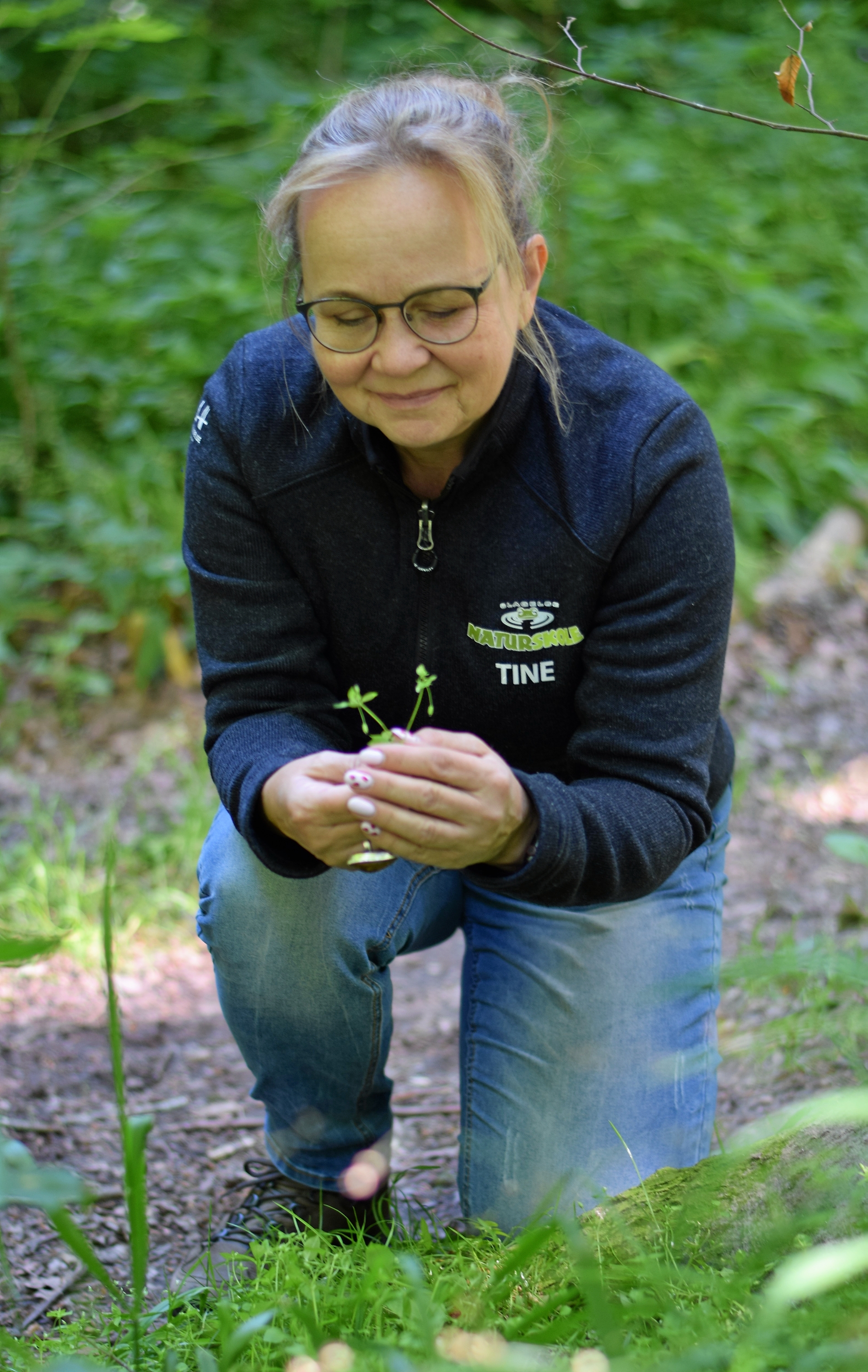 Naturvejleder og leder af Slagelse Naturskole, Tine Nord Raahauge finder hekseurter. - Søren Schaadt Larsen Naturvejleder og leder af Slagelse Naturskole, Tine Nord Raahauge finder hekseurter.