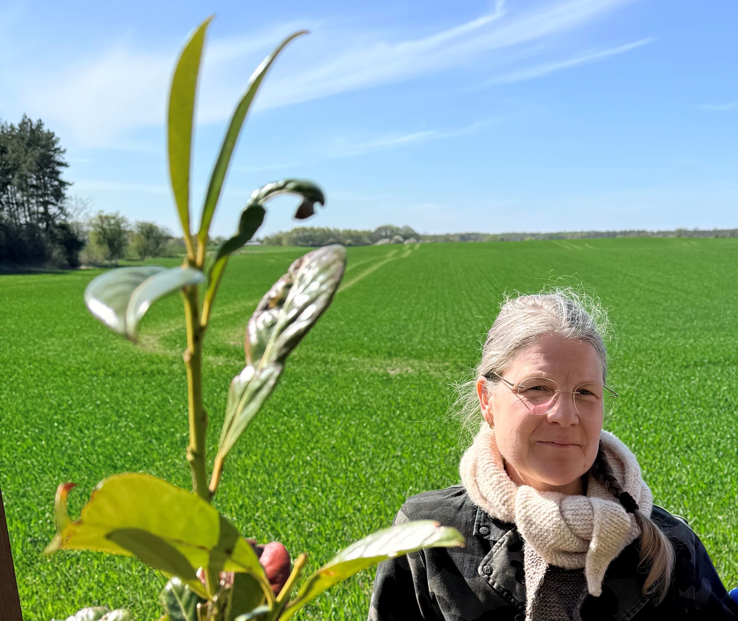 Natur, landskab, mennesker og drikkevandsbeskyttelse bør altid afvejes, før konkrete projekter får lov at skyde op, mener Dagmar Hagedorn.
