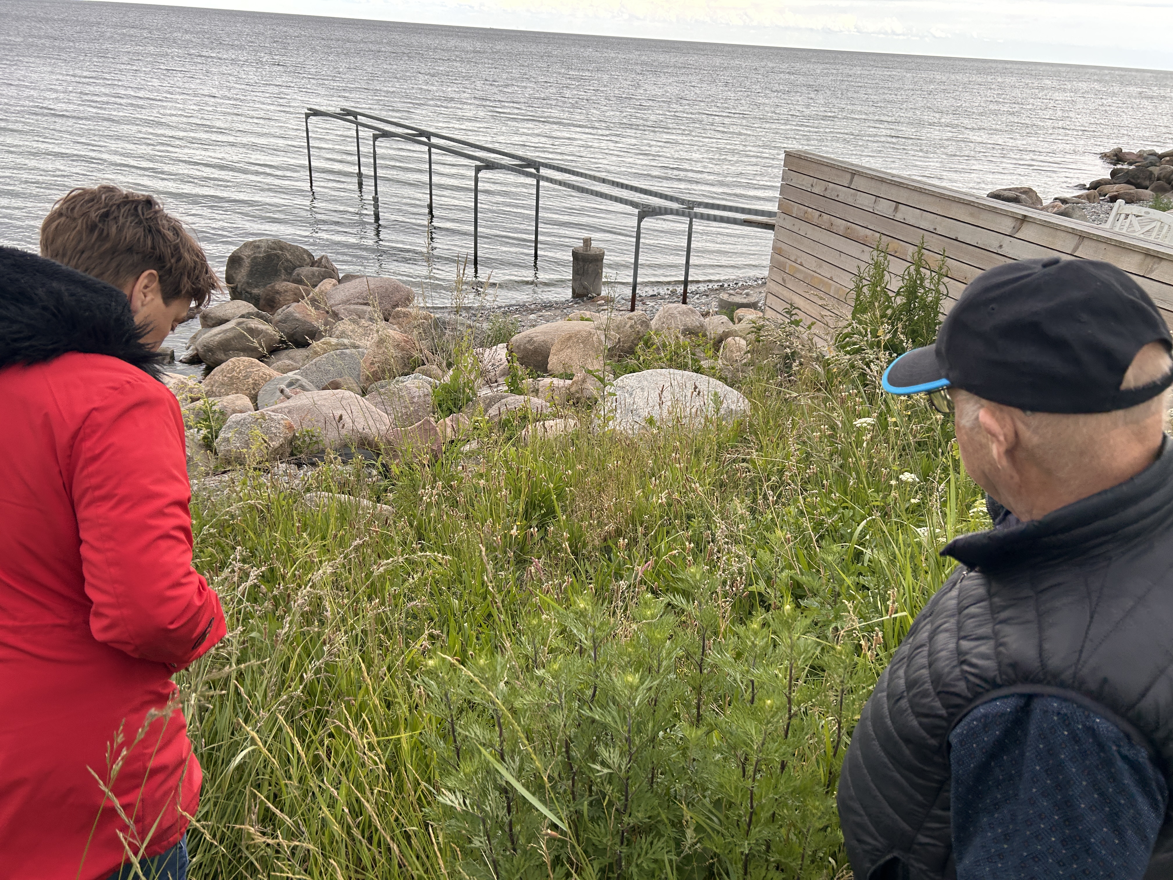 Stevns Kommune skal behandle tilladelse til udledning af overfladevand fra Nicolinelund igen. Det har Miljø- og Fødevareklagenævnet afgjort, skrev Dagbladet i juni måned. Diskussionerne om sagen er stadig i gang.