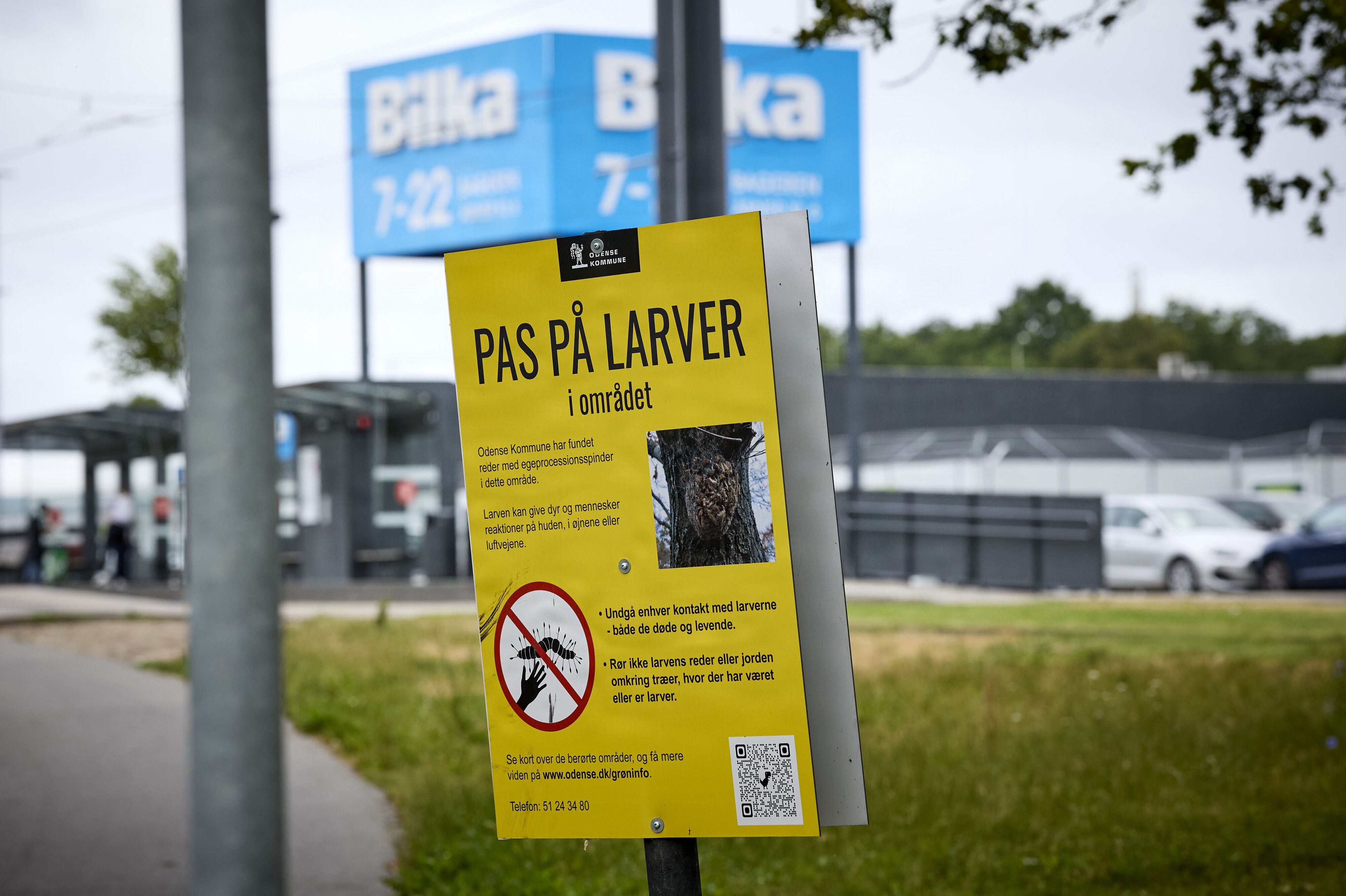I det sydøstlige Odense er der sat skilte op, som advarer borgerne om egeprocessionsspinderen. Sundhedsministeren har bedt sundhedsmyndighederne om at bistå kommunen med rådgivning.
