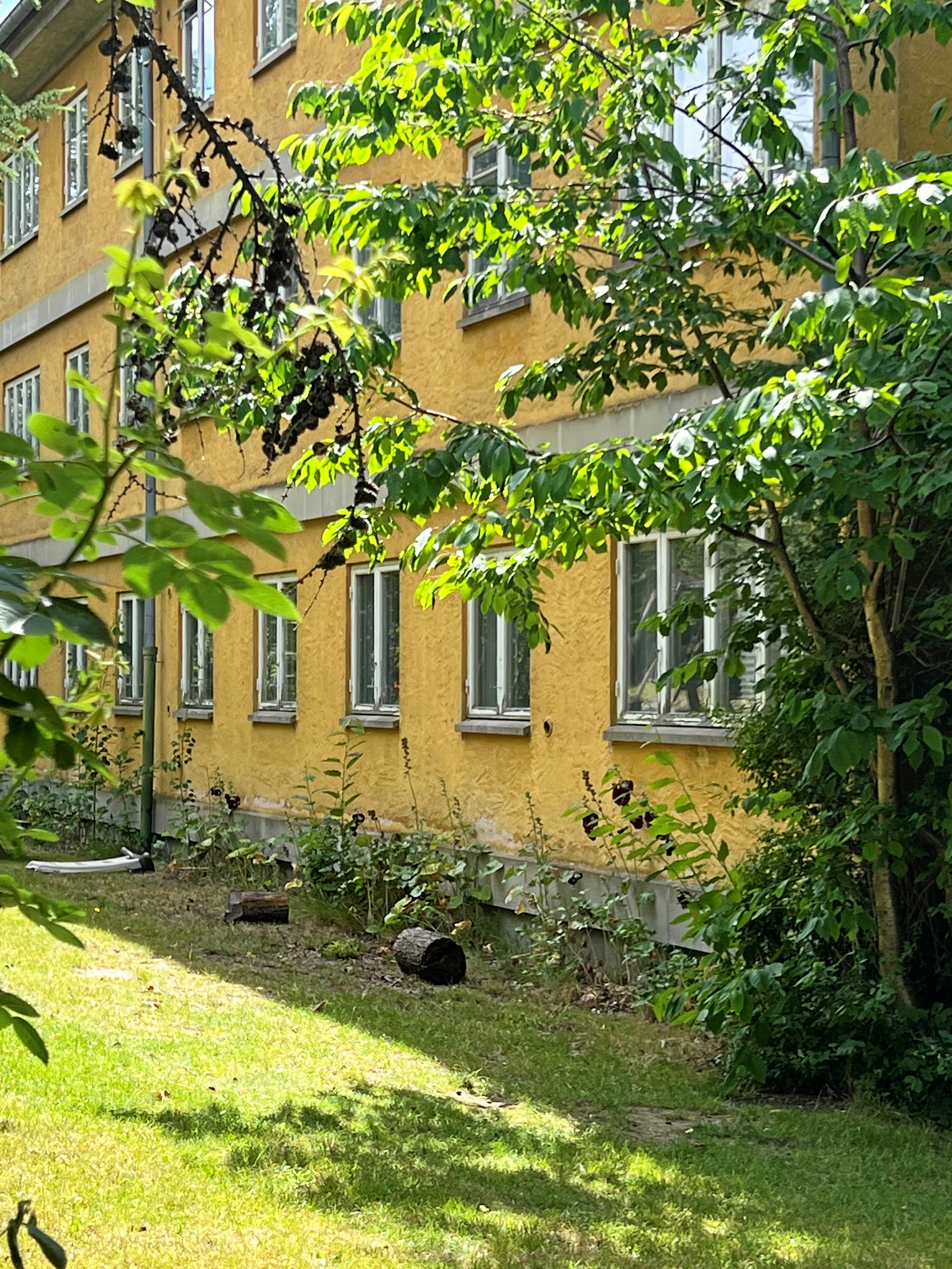 Hospitalsgrunden gemmer på masser af perler, som gerne må bevares, mener skribenten.