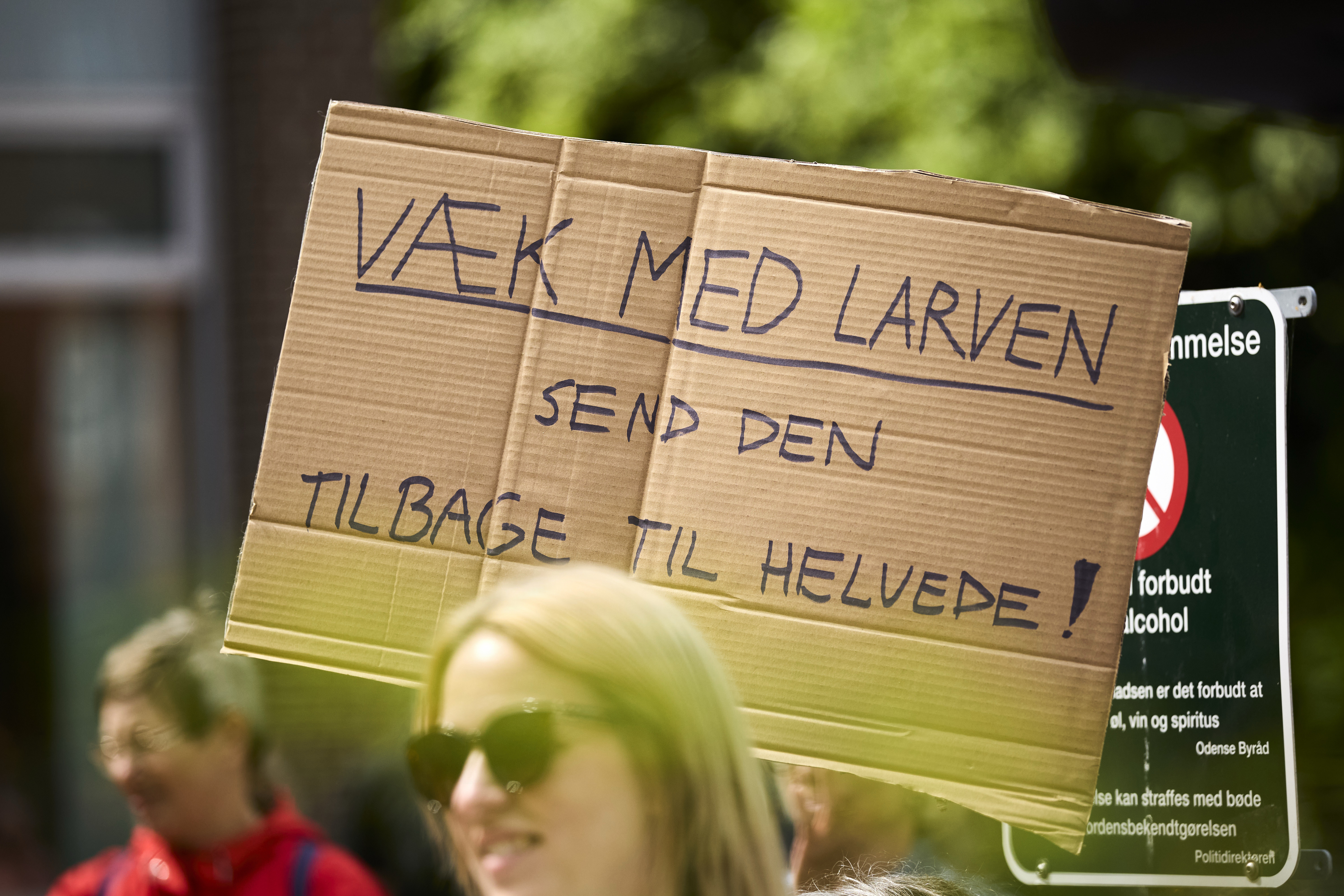 I Odense Kommune har egeprocessionsspinderen givet anledning til demonstrationer.