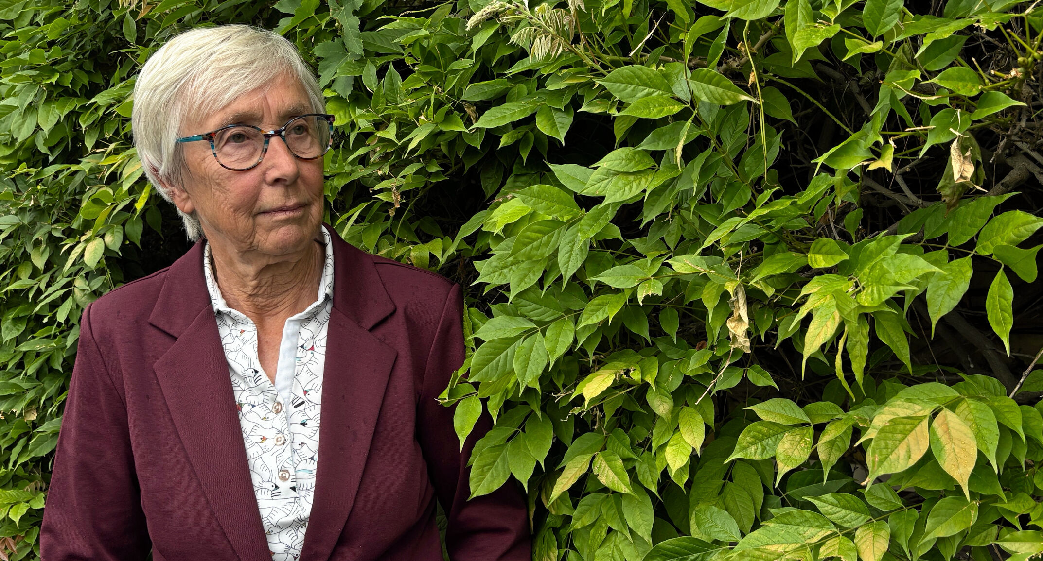 Seniorrådet vil bruge pårørendeundersøgelse til at forbedre vilkårene på Furesøs plejehjem, skriver formanden.